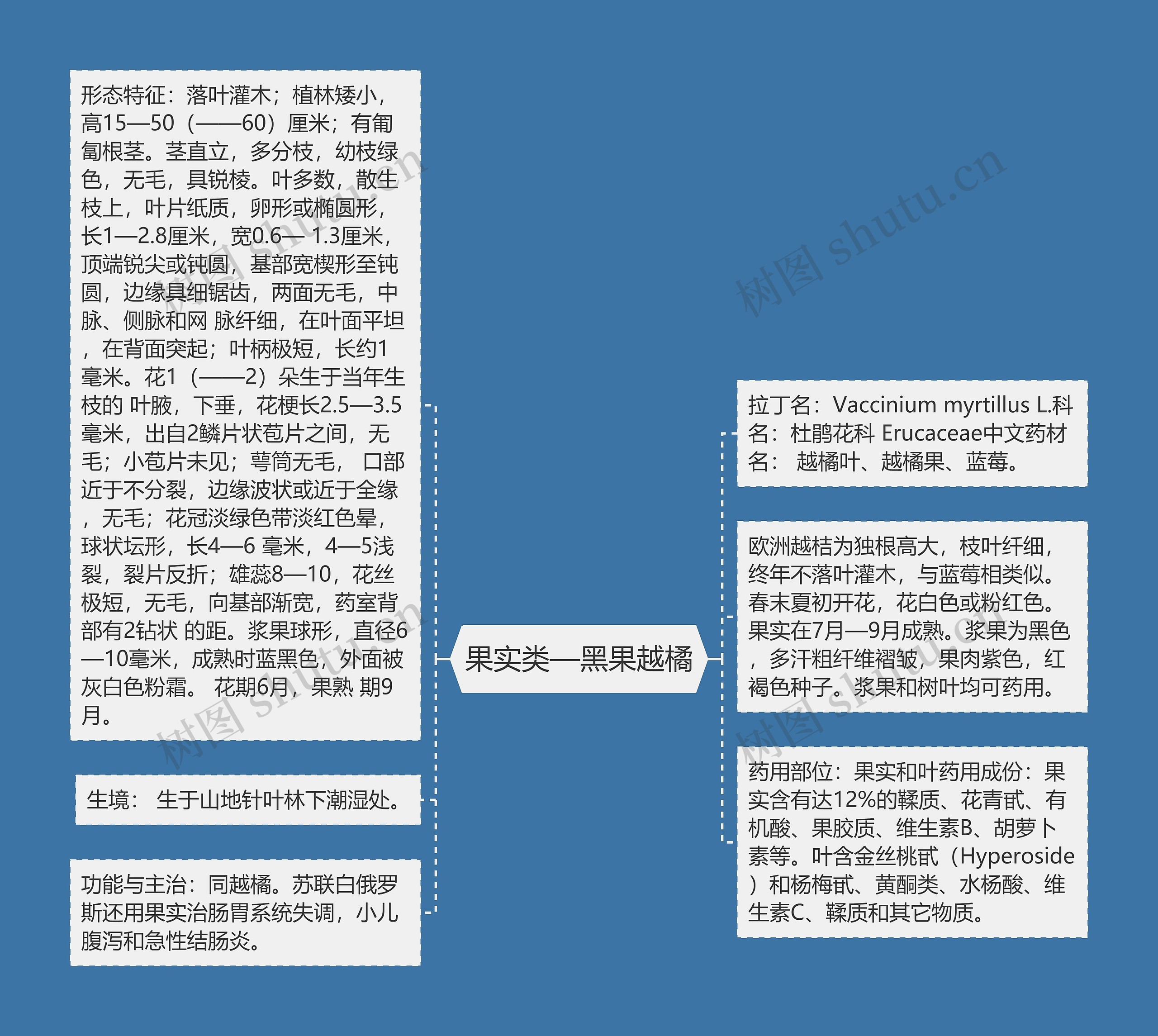 果实类—黑果越橘思维导图