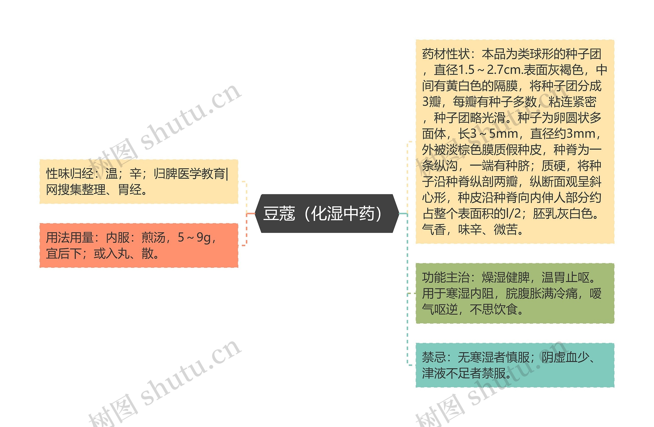 豆蔻（化湿中药）思维导图