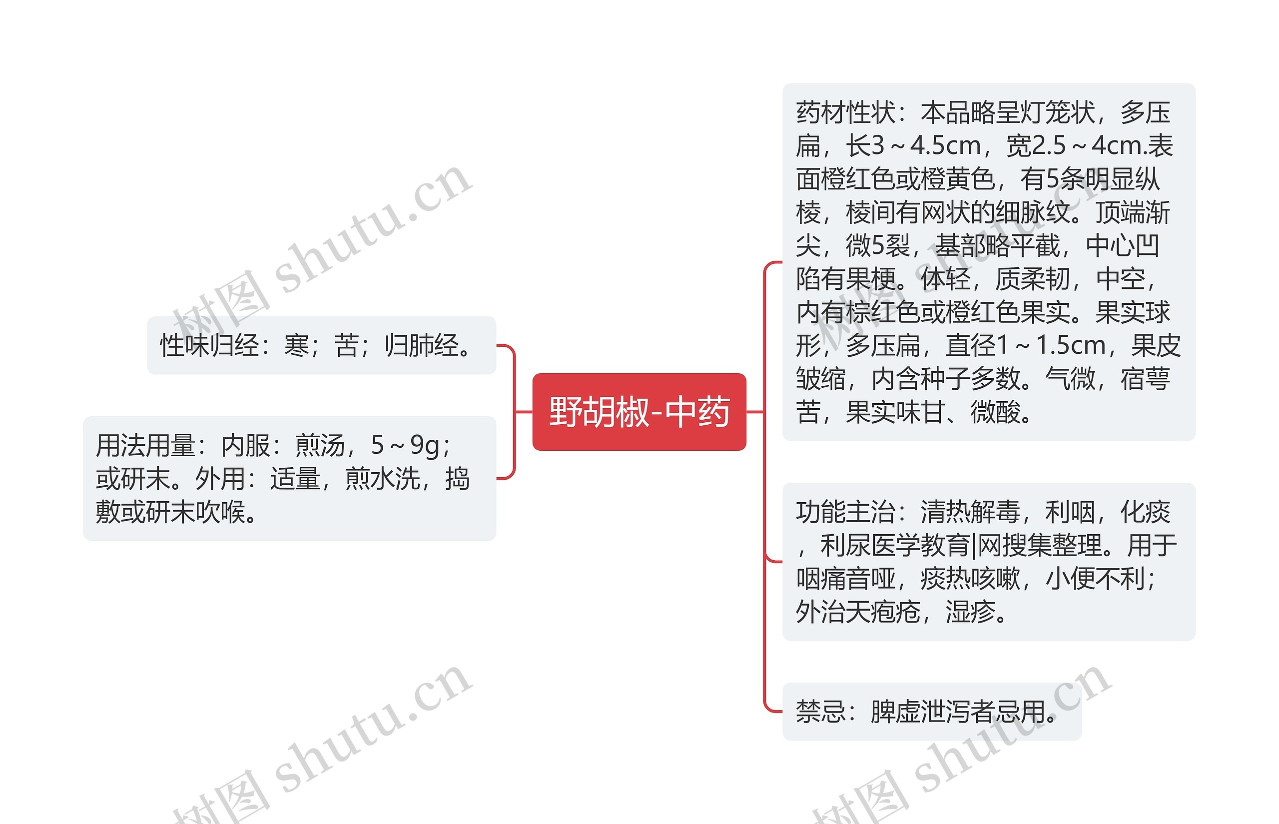 野胡椒-中药思维导图