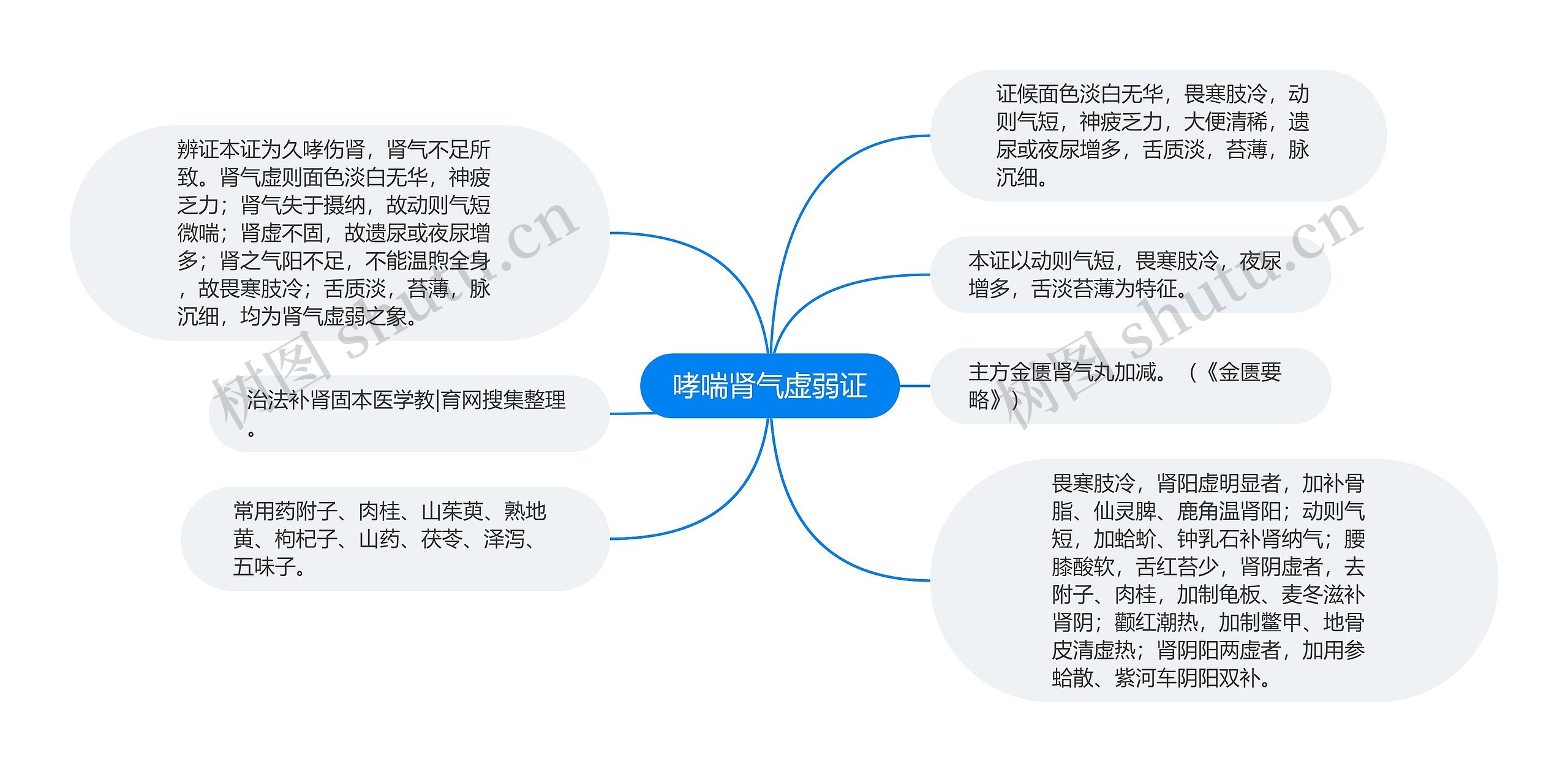 哮喘肾气虚弱证思维导图