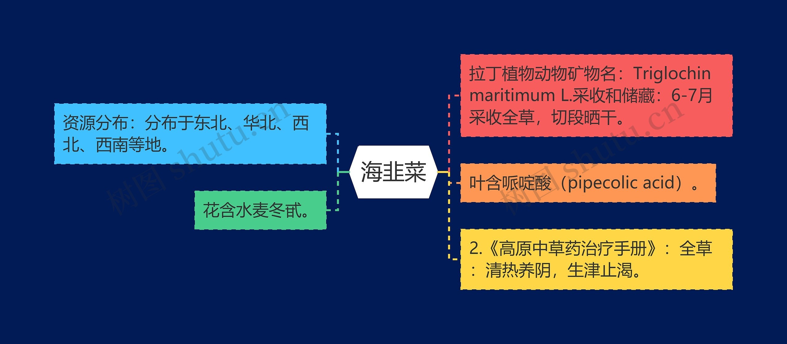 海韭菜思维导图