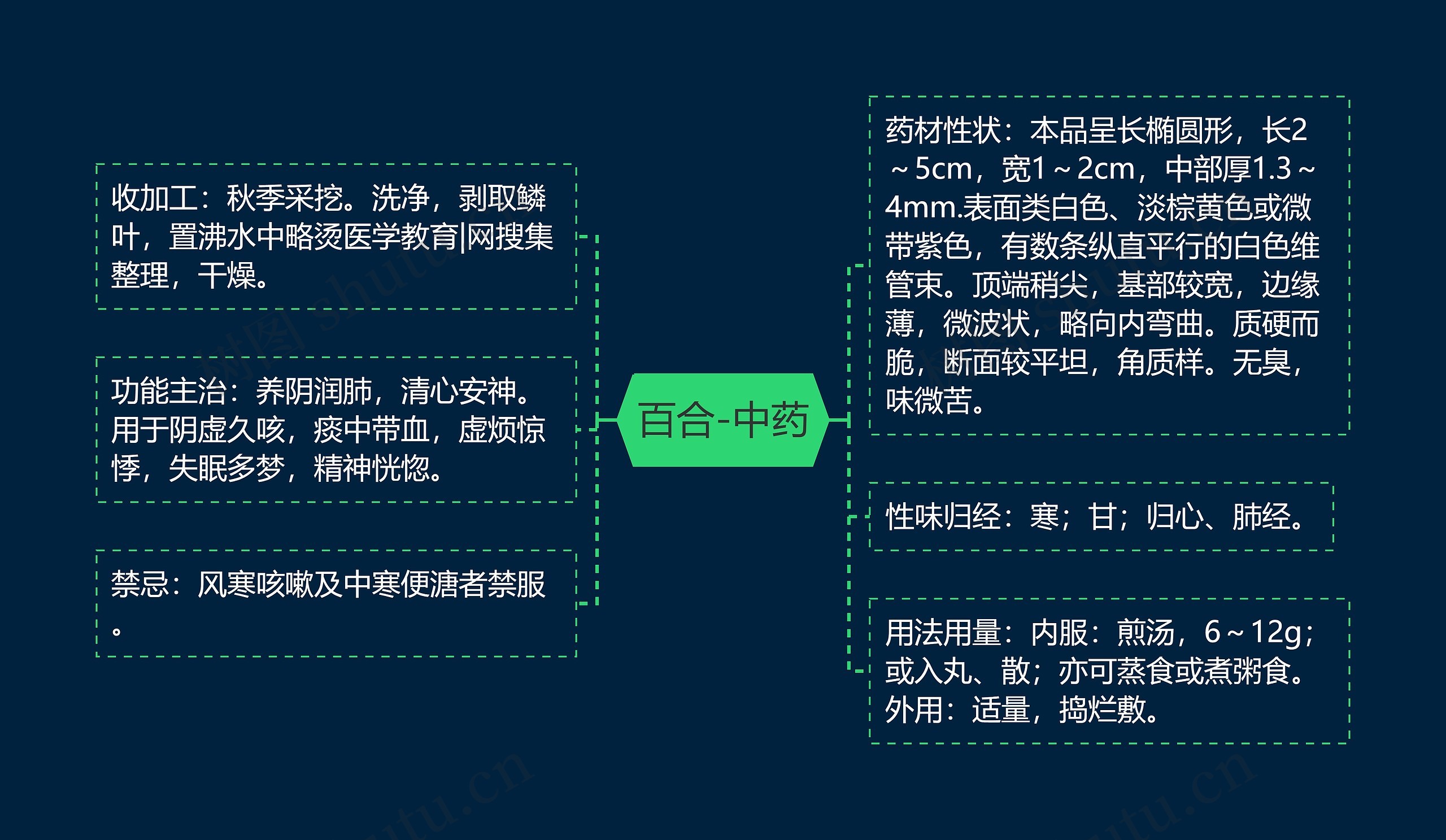 百合-中药思维导图