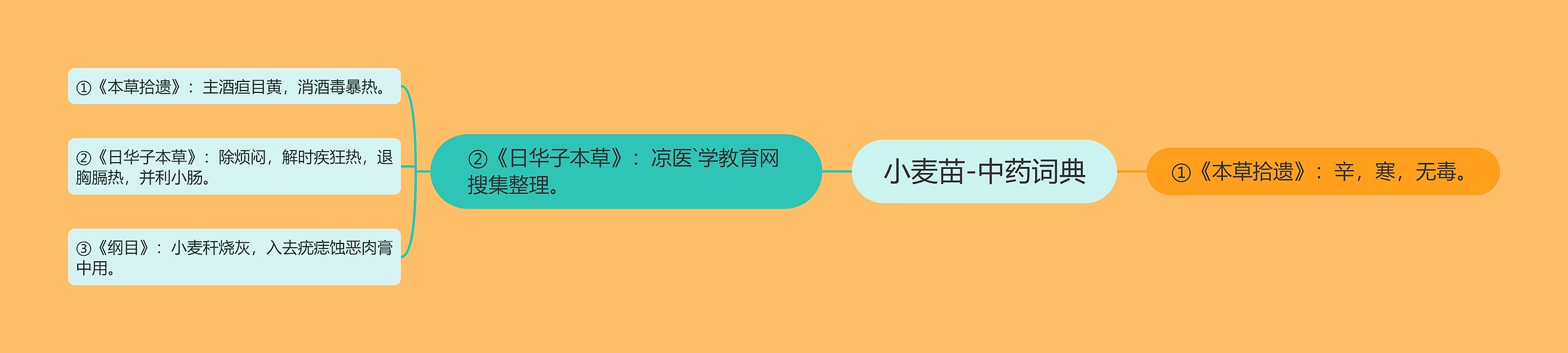 小麦苗-中药词典思维导图