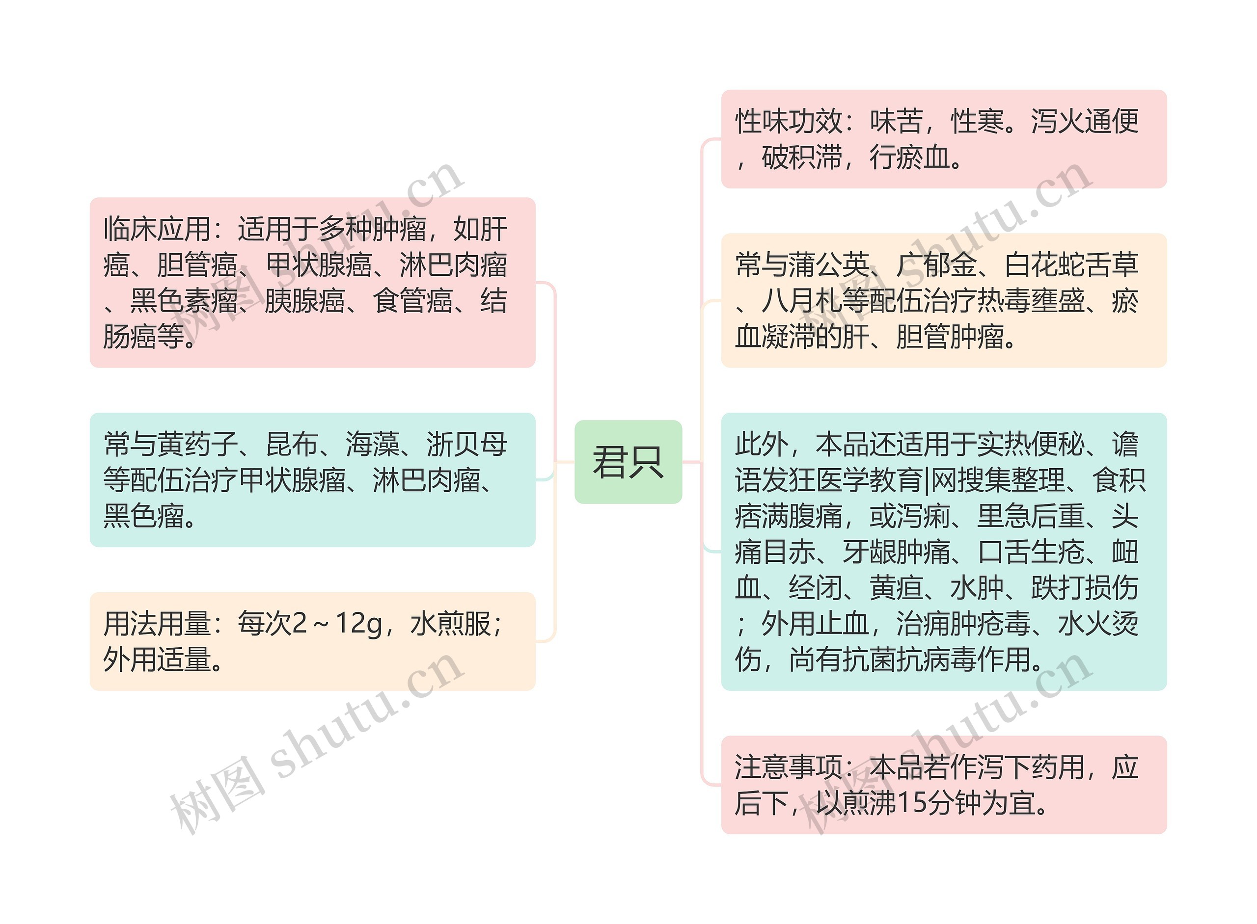 君只思维导图