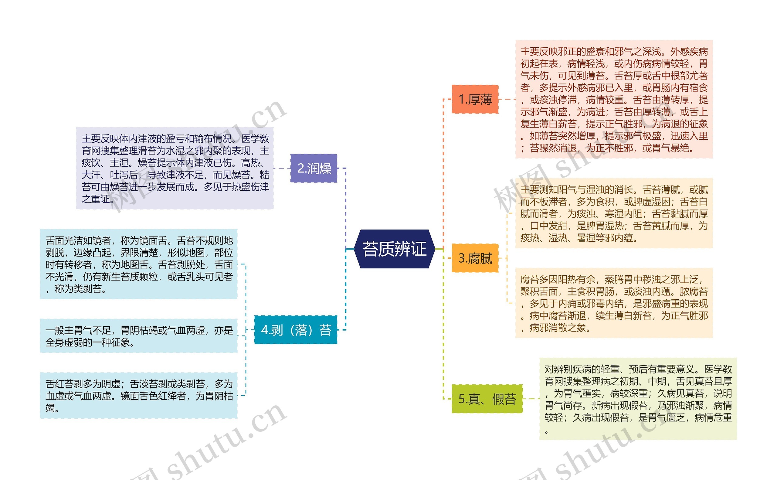 苔质辨证