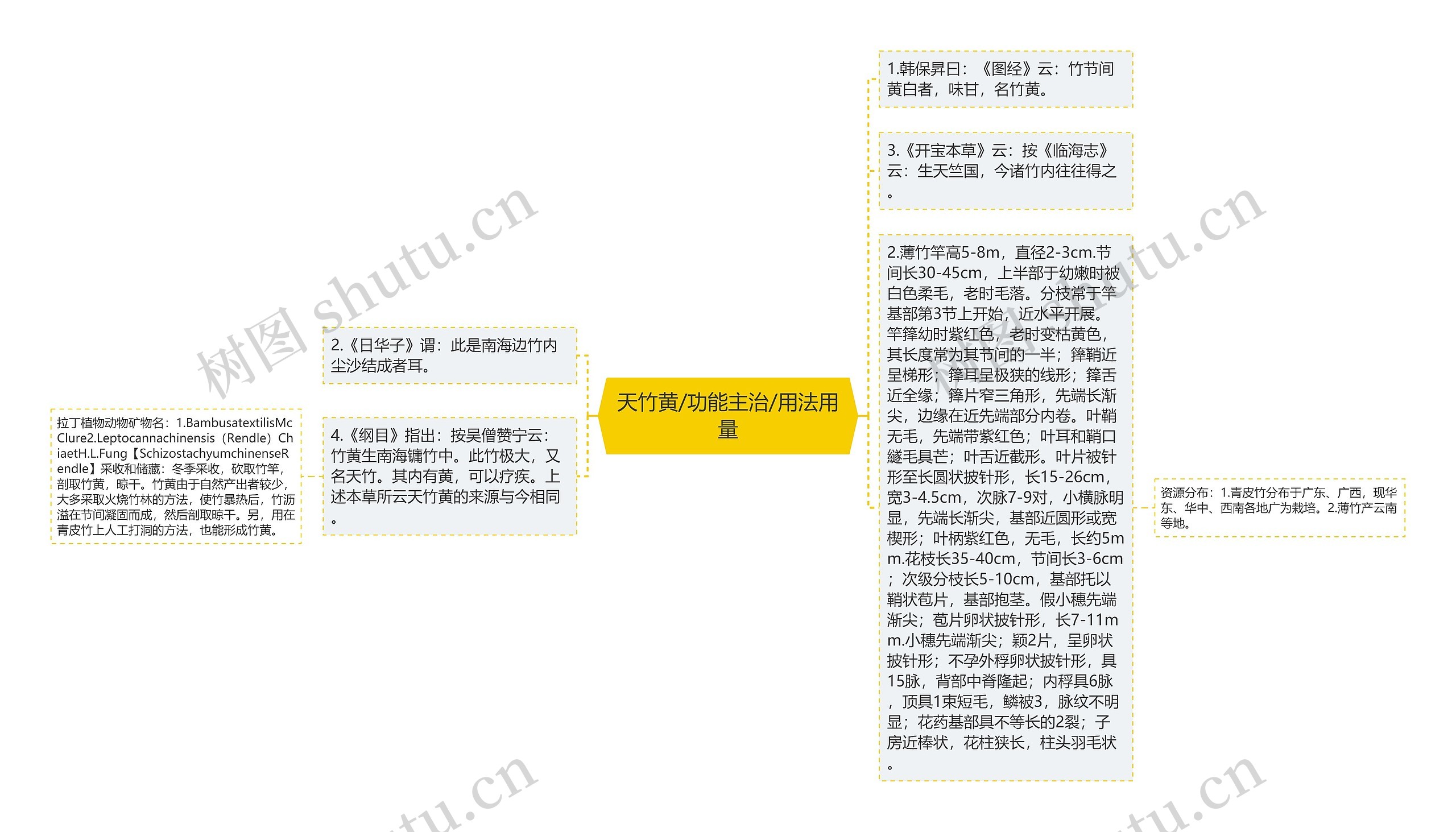 天竹黄/功能主治/用法用量思维导图