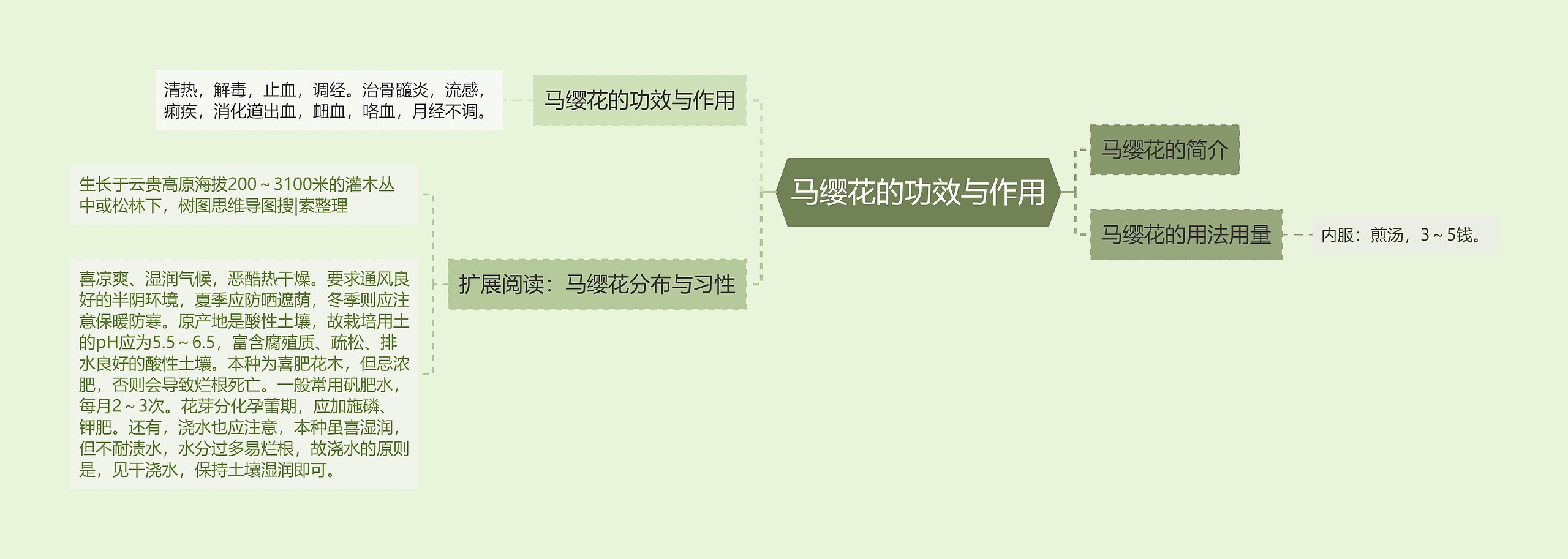 马缨花的功效与作用 马缨花的功效与作用