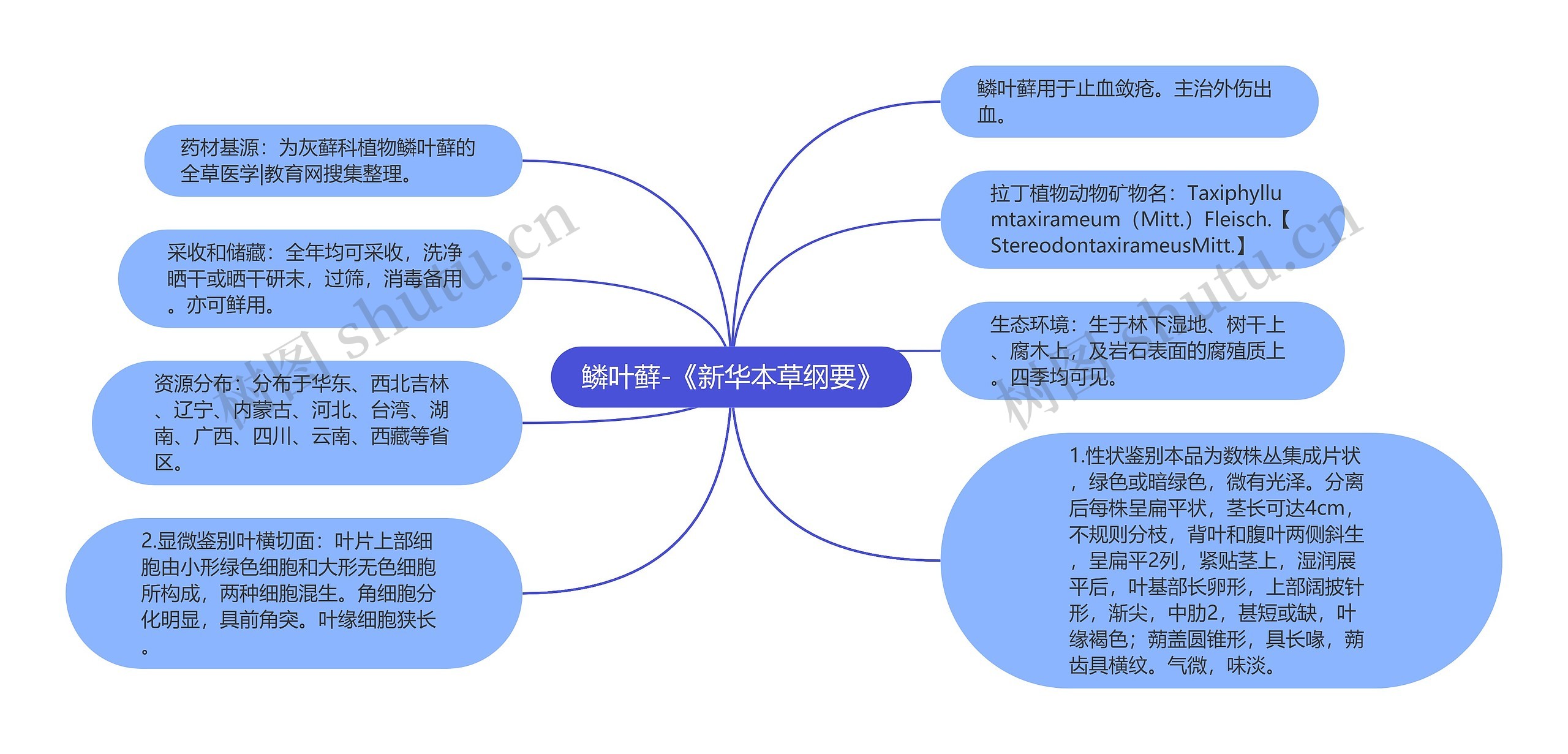 鳞叶藓-《新华本草纲要》