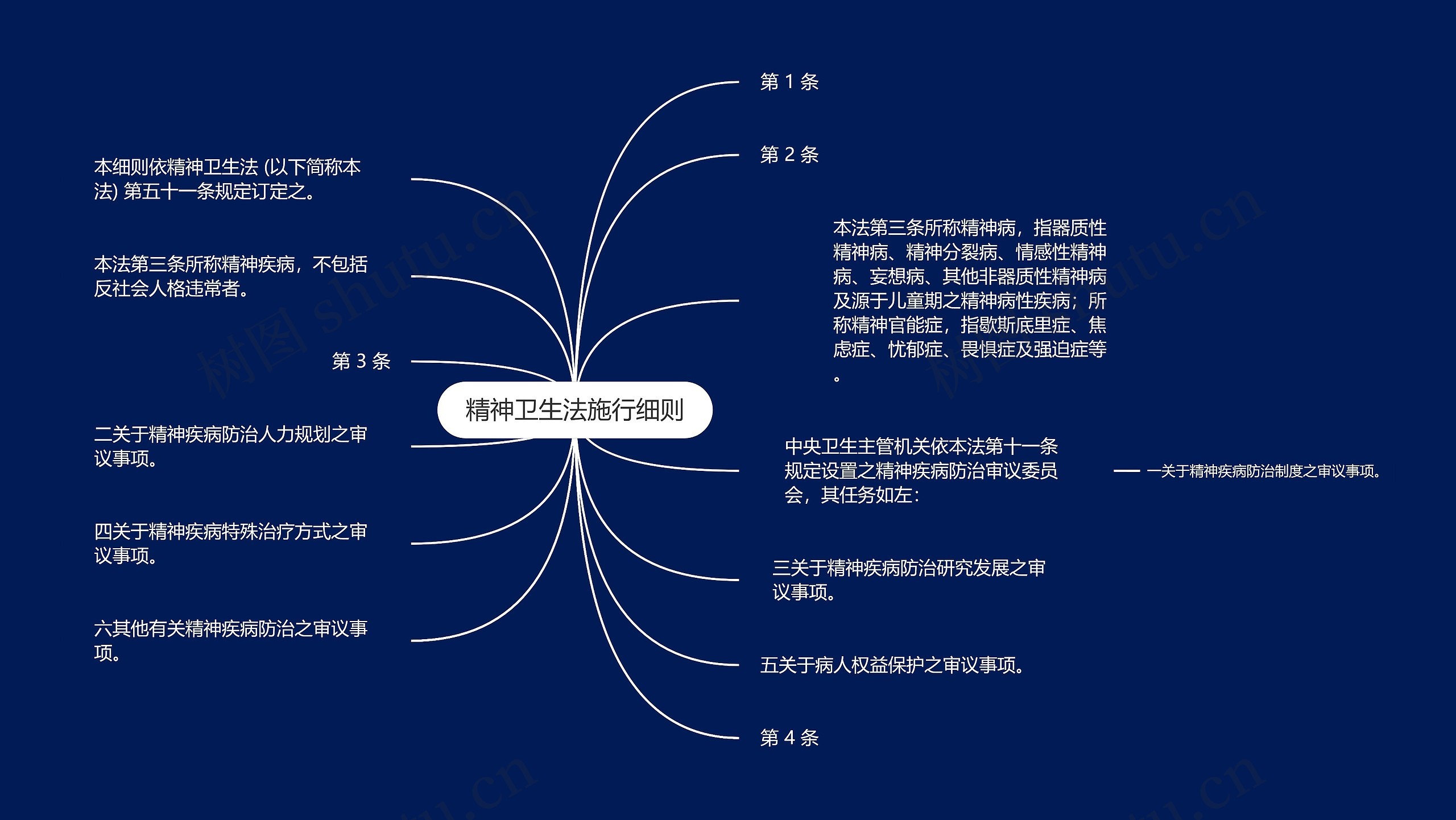 精神卫生法施行细则