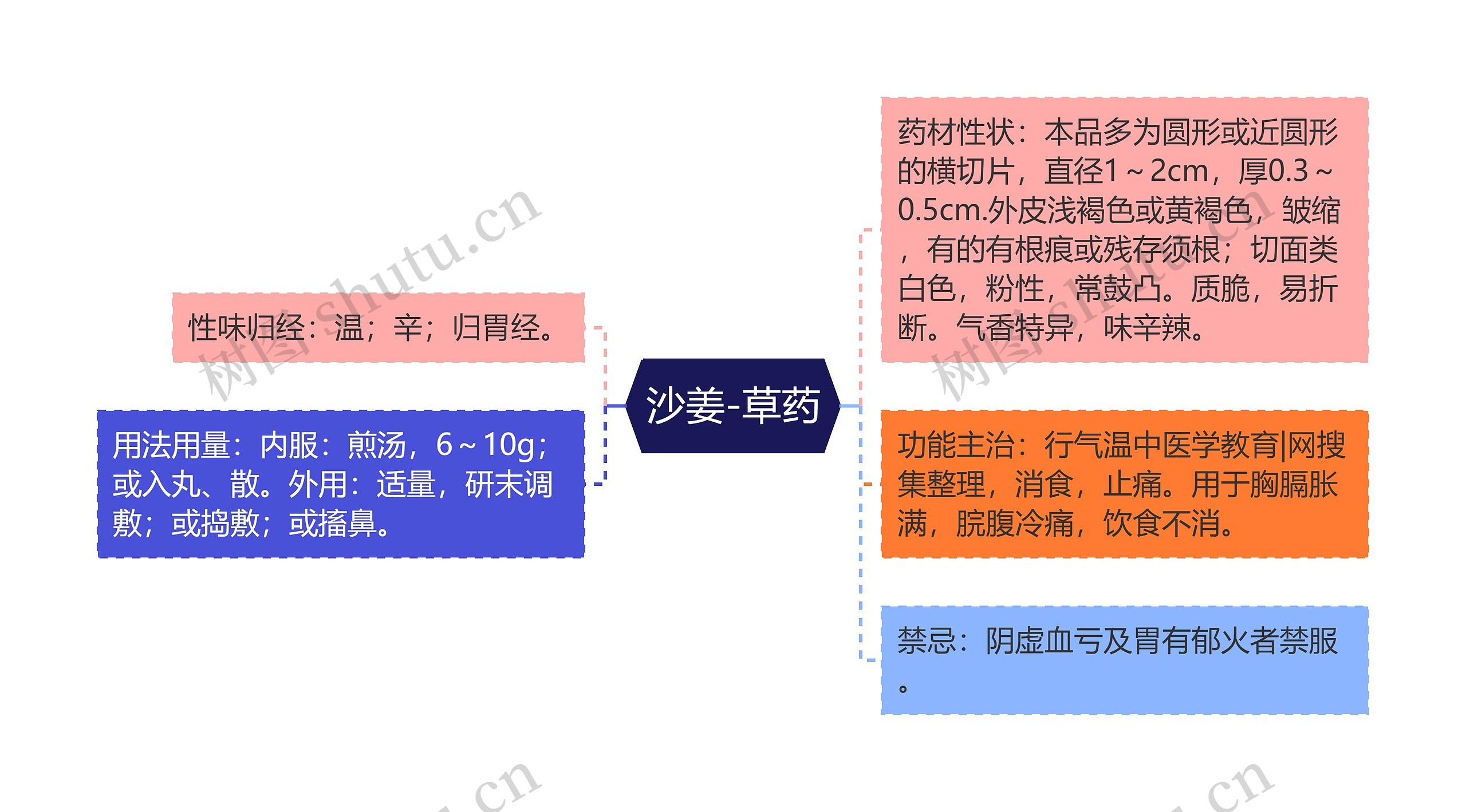 沙姜-草药 沙姜-草药