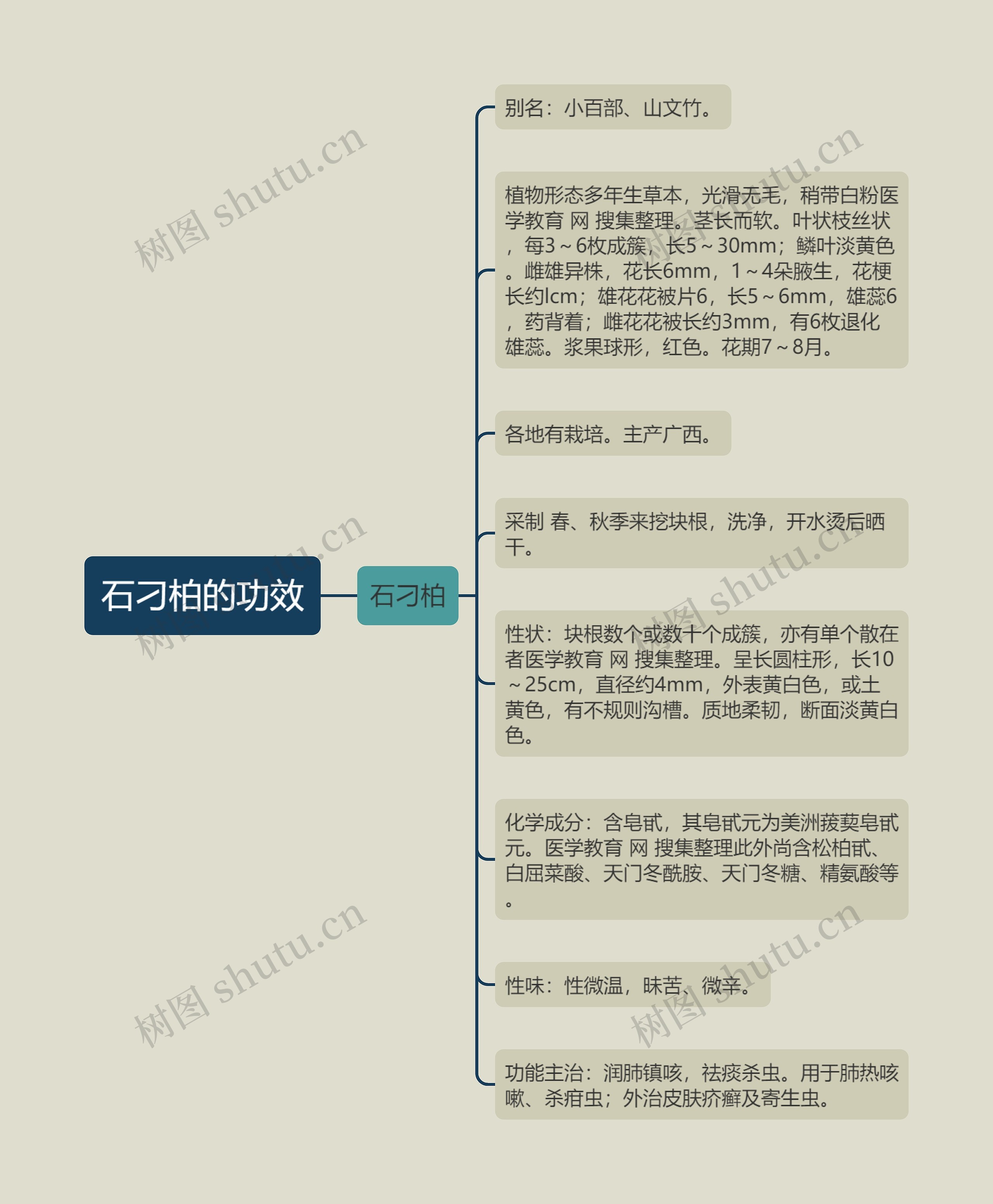 石刁柏的功效思维导图