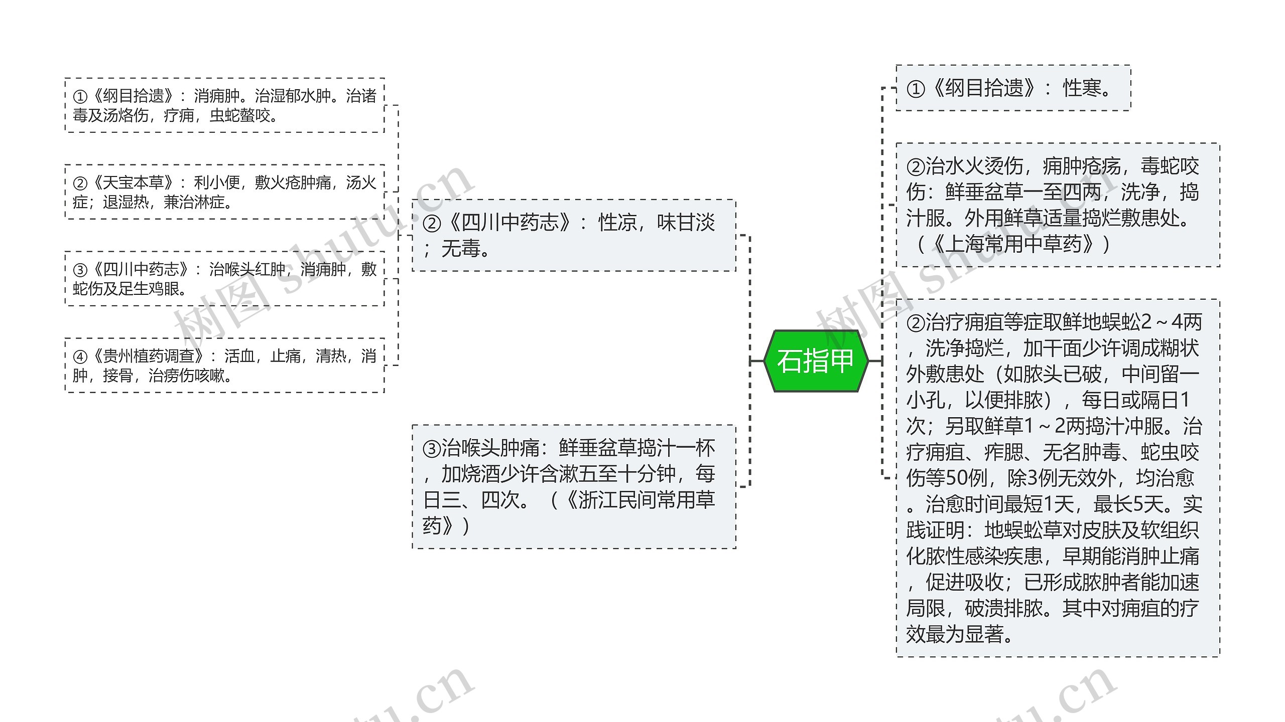 石指甲思维导图