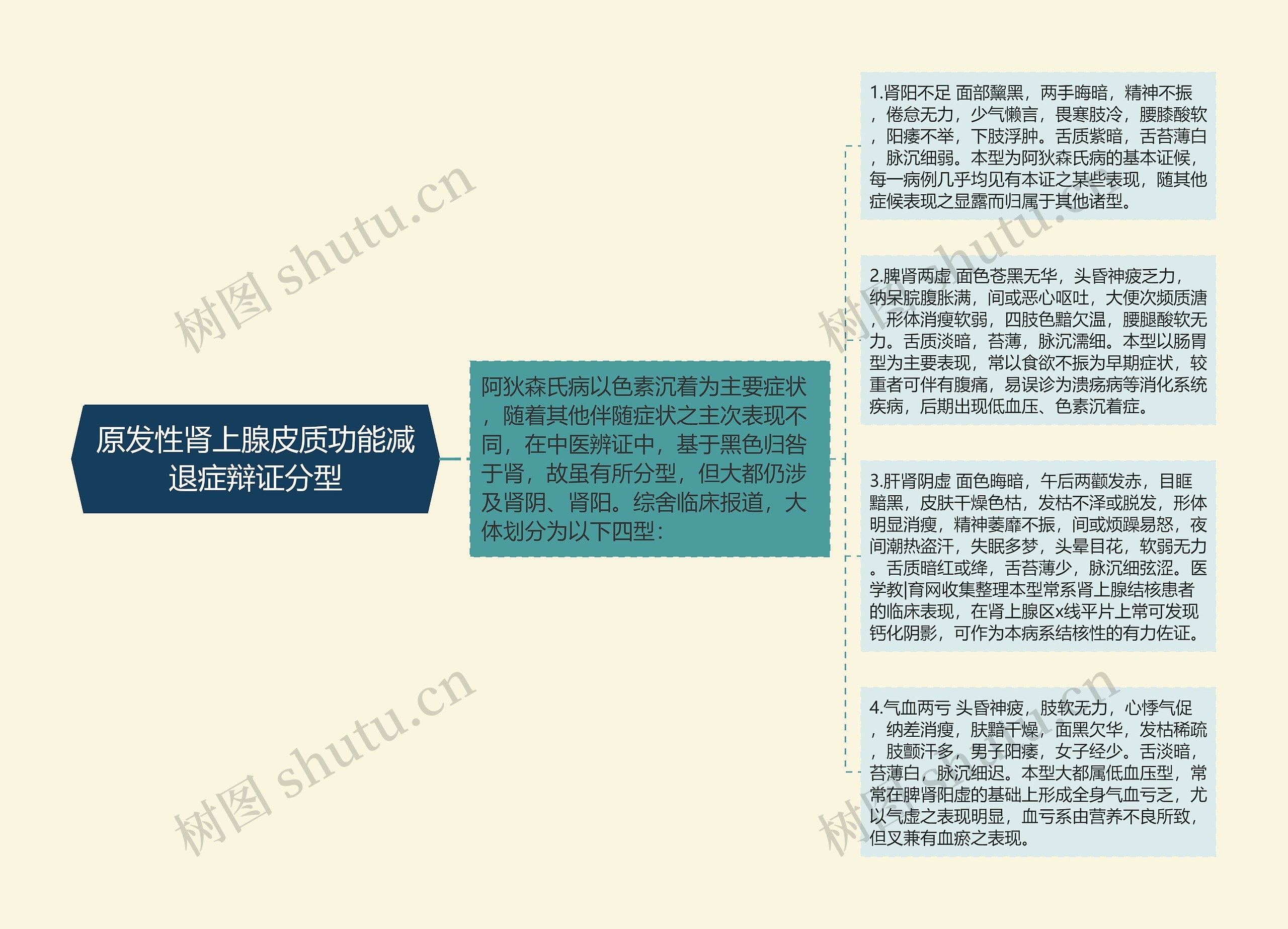 原发性肾上腺皮质功能减退症辩证分型思维导图