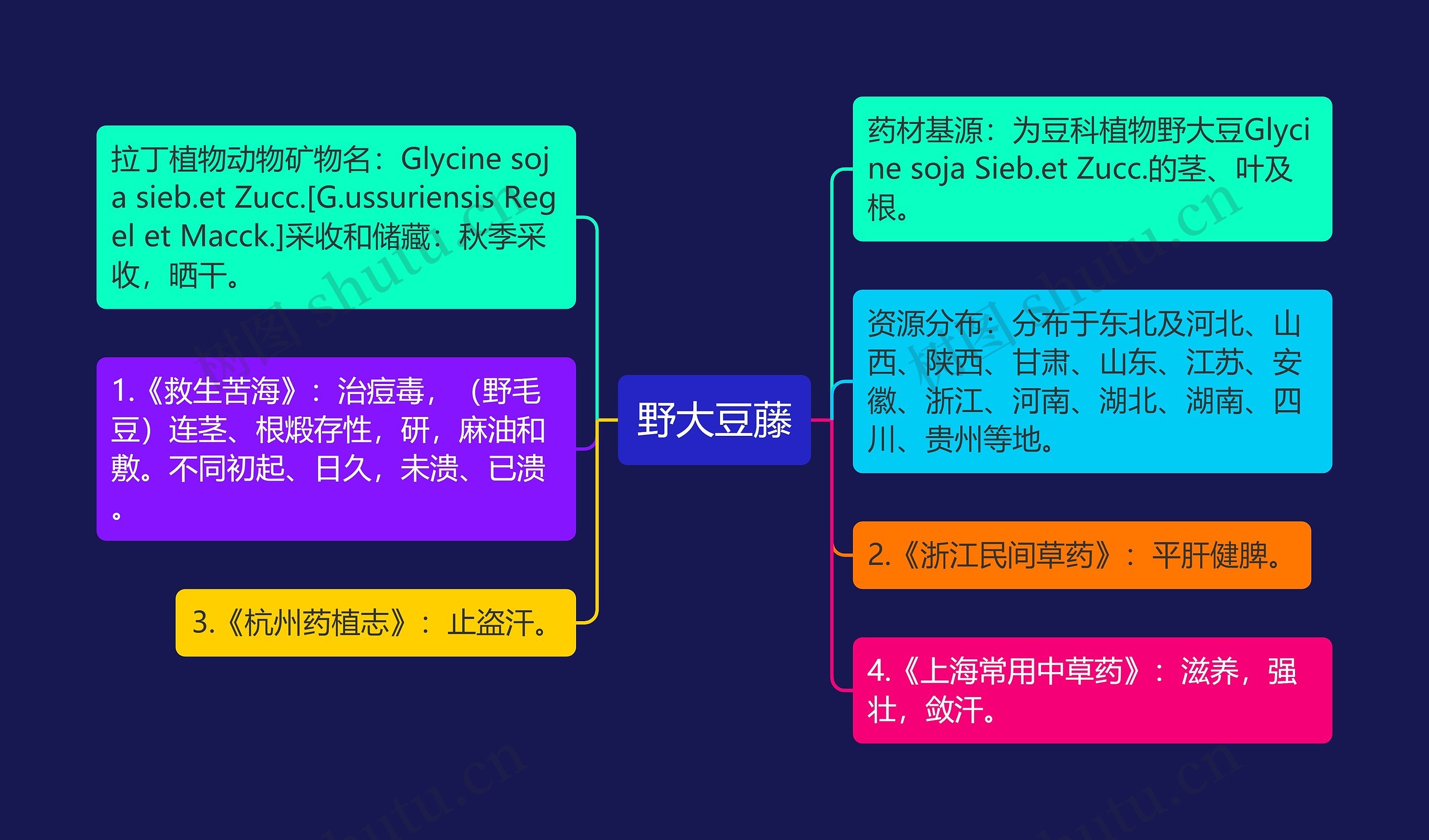 野大豆藤思维导图