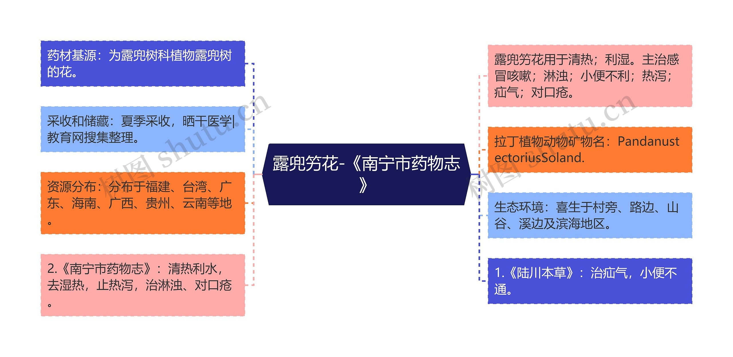 露兜竻花-《南宁市药物志》思维导图