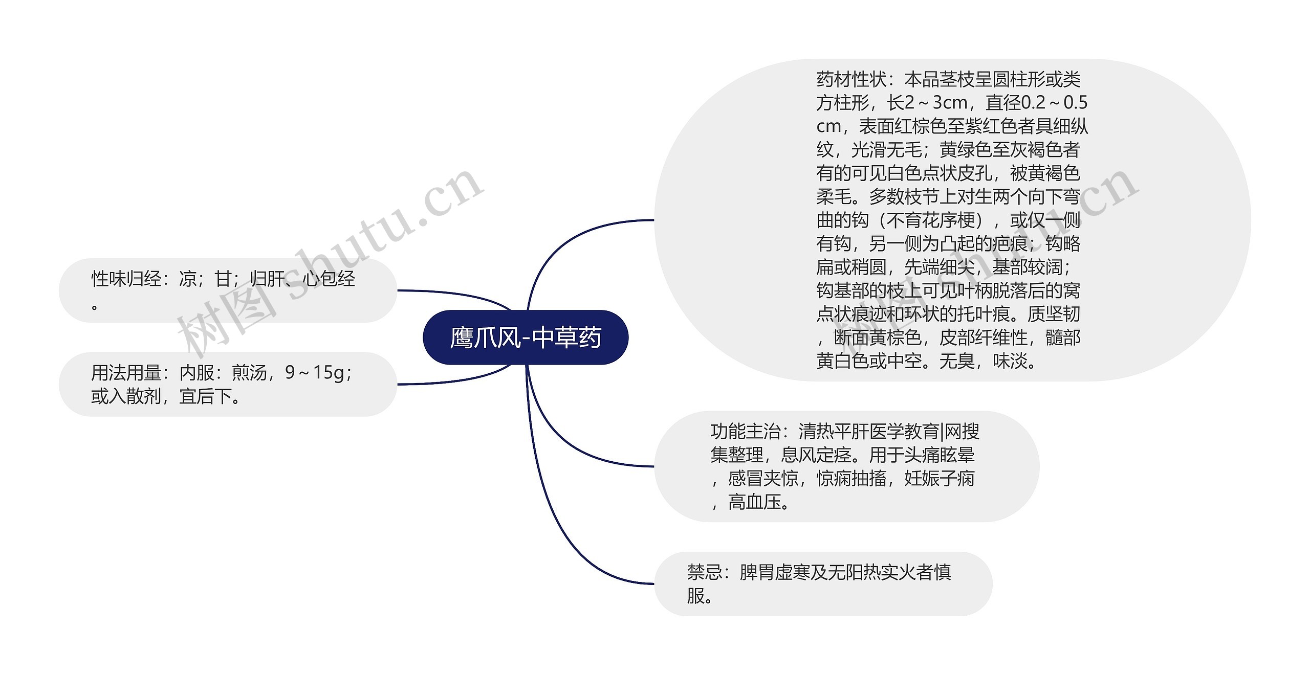 鹰爪风-中草药思维导图