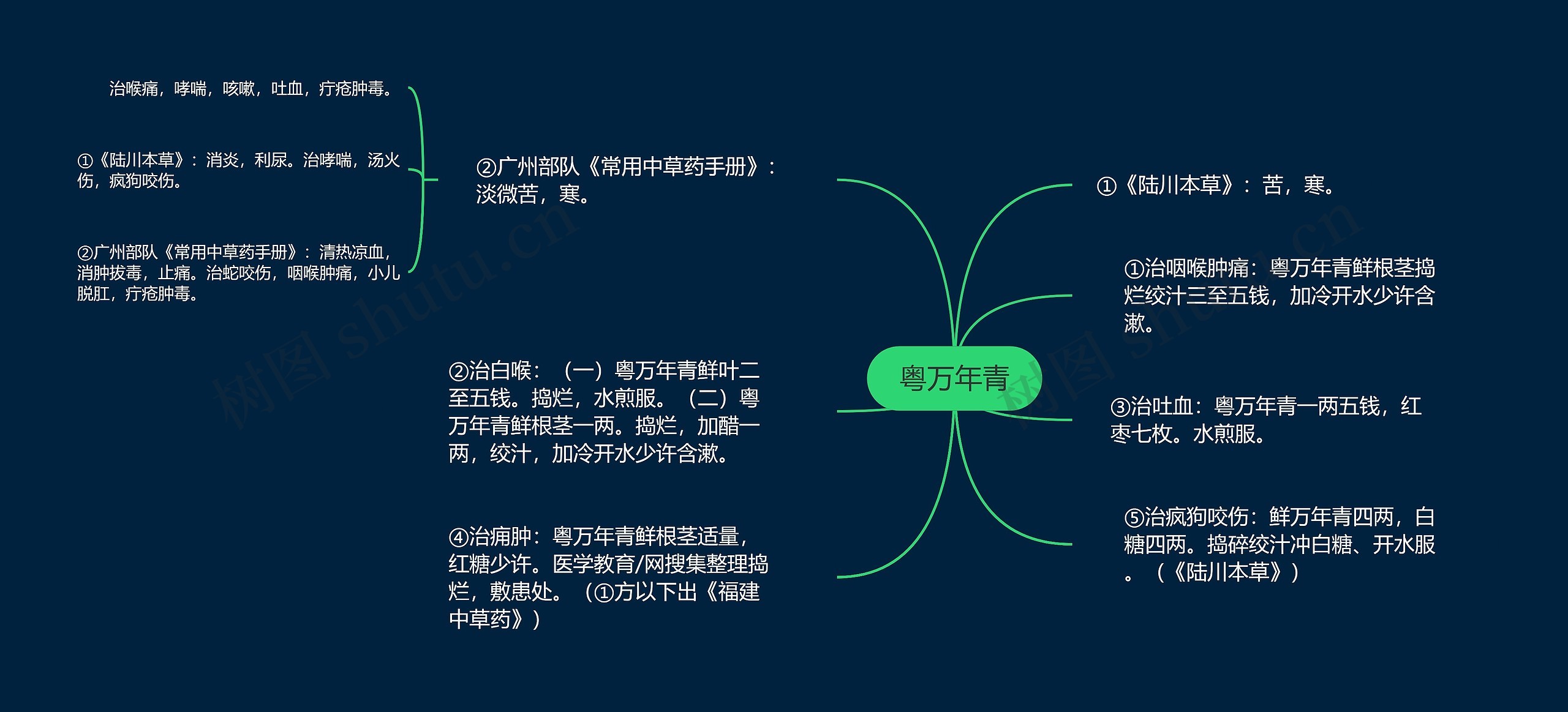 粤万年青思维导图