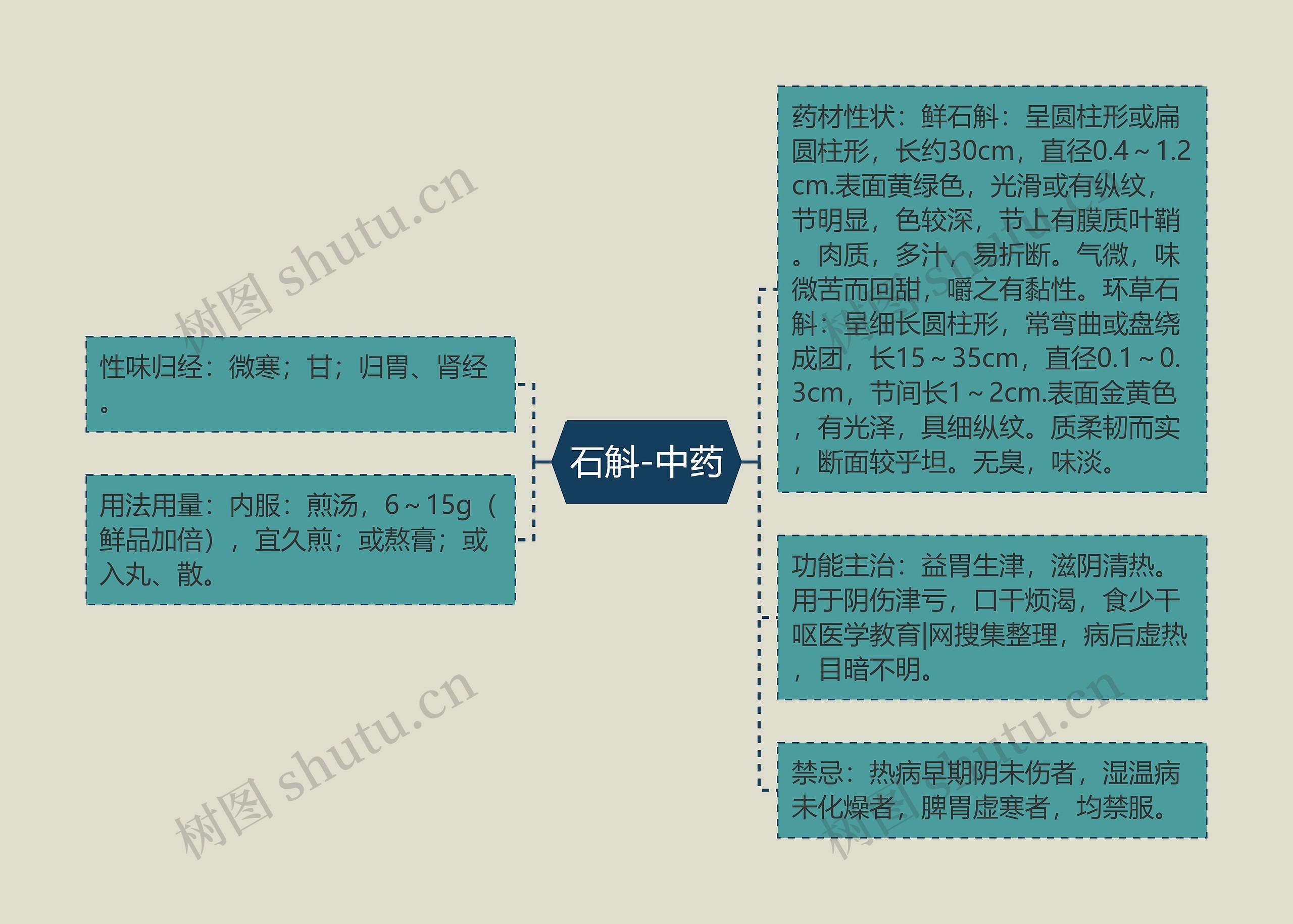 石斛-中药 石斛-中药