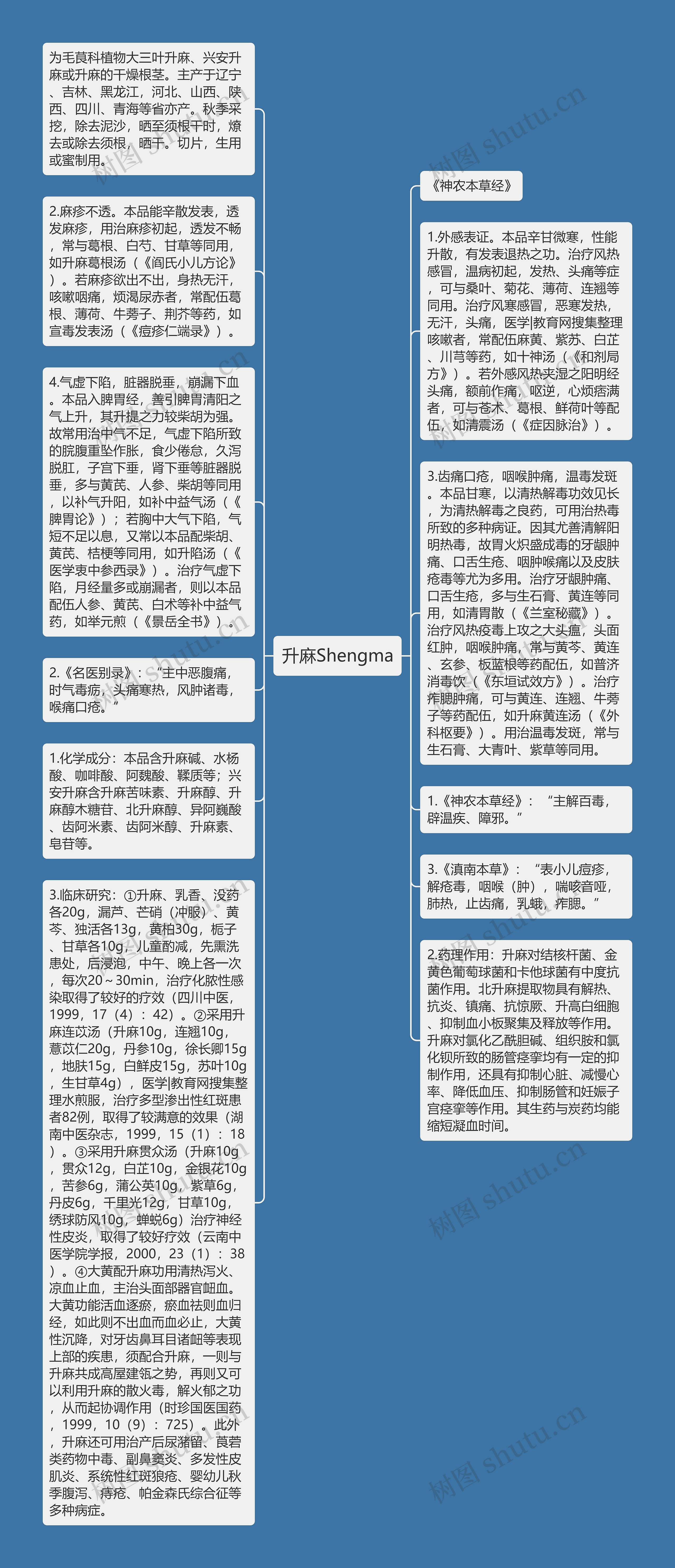 升麻Shengma