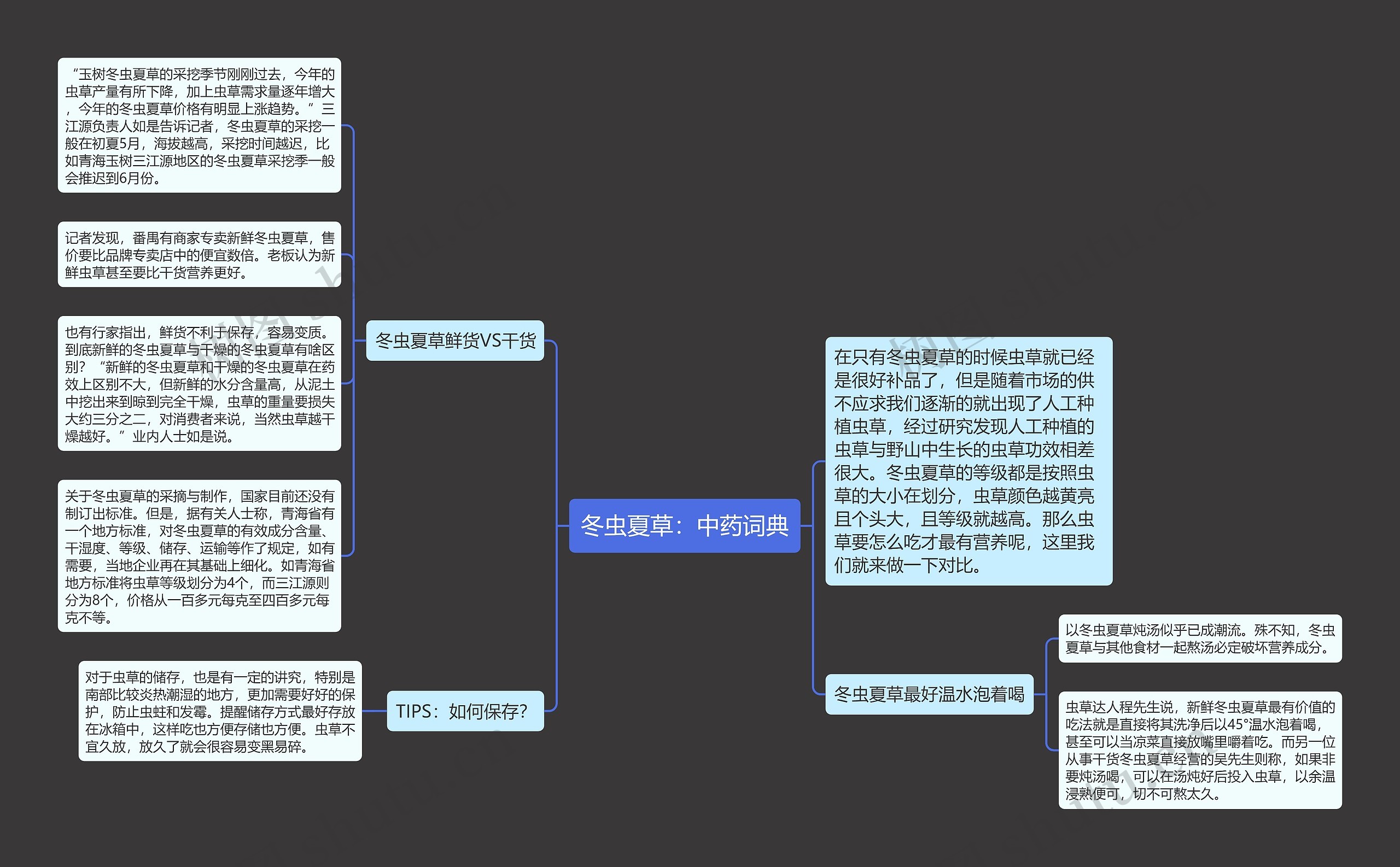 冬虫夏草：中药词典思维导图