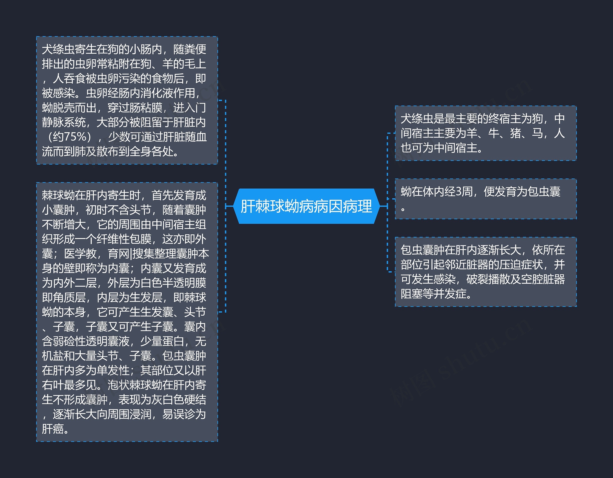 肝棘球蚴病病因病理思维导图