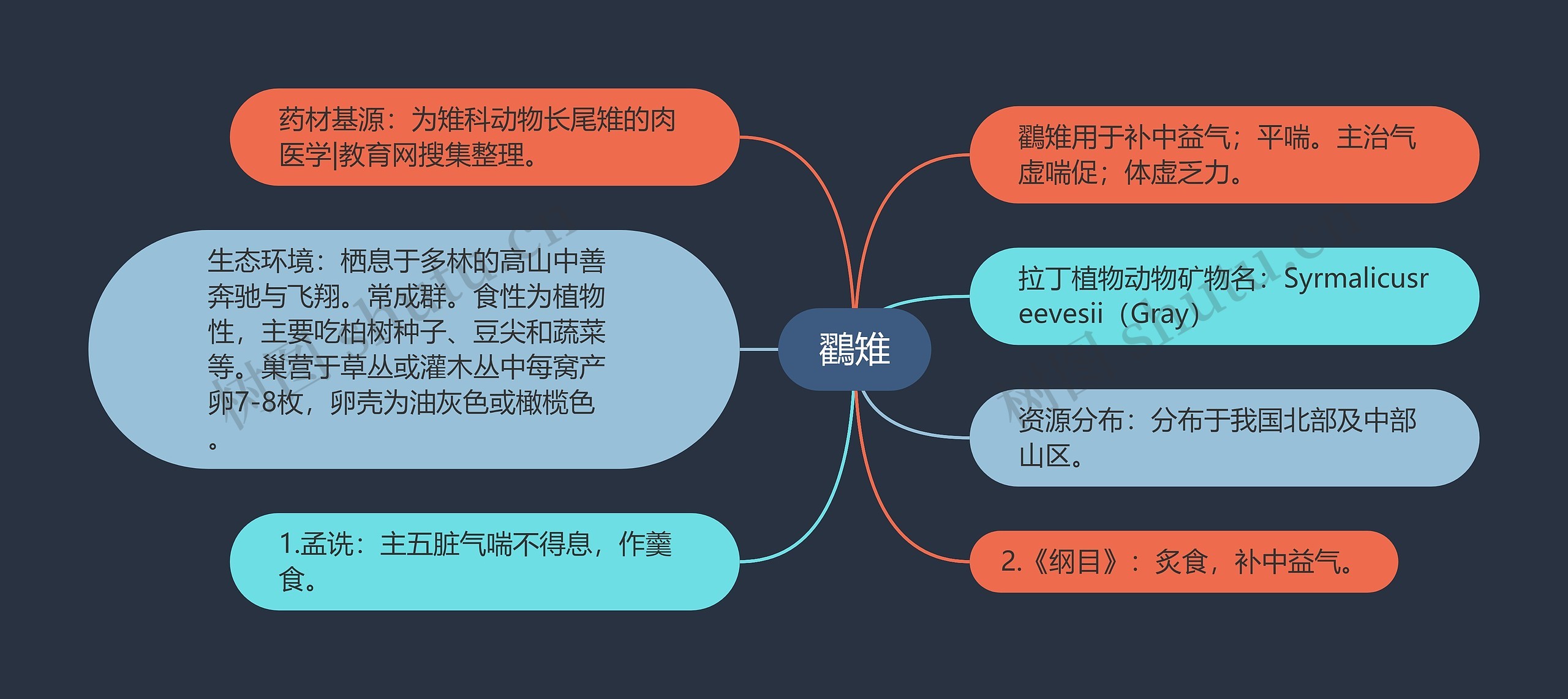 鸐雉思维导图