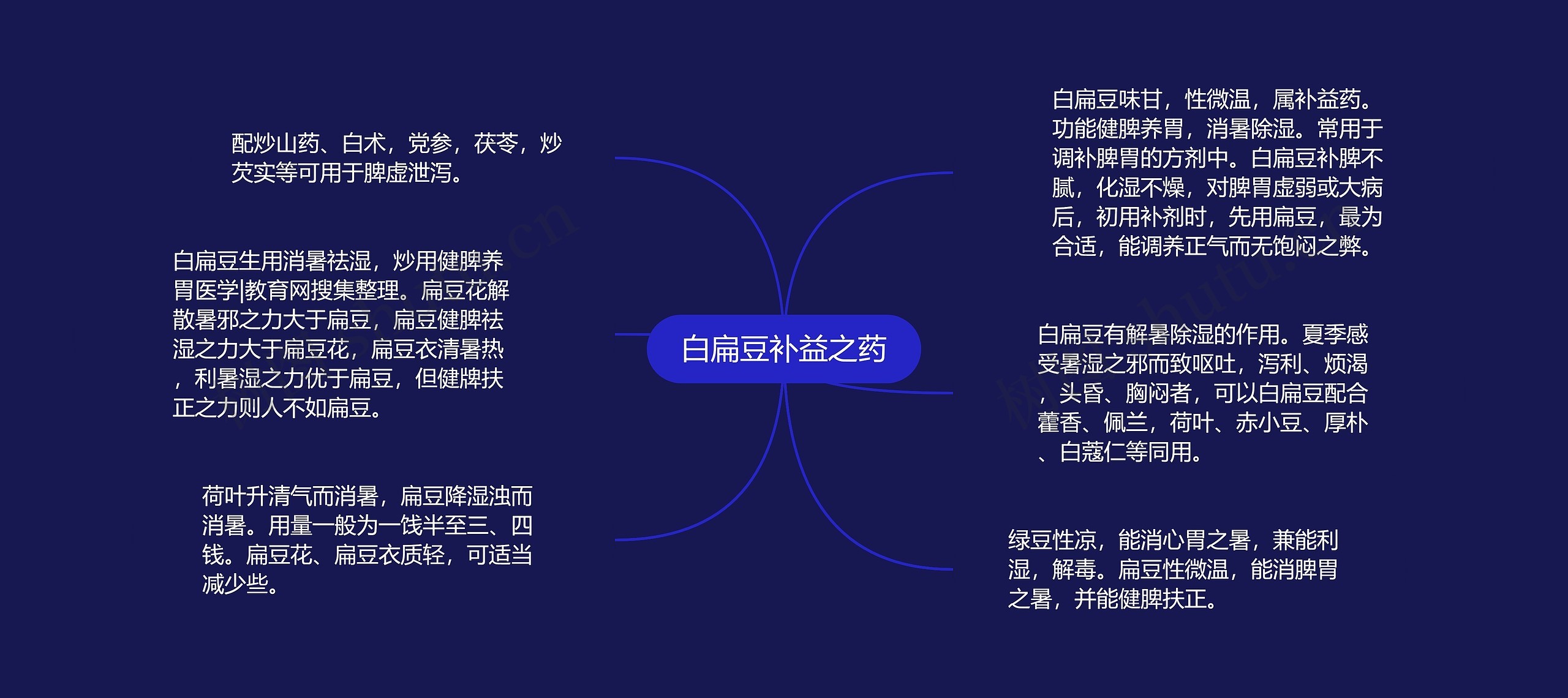 白扁豆补益之药