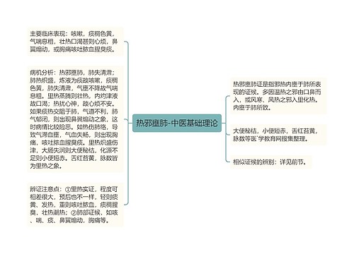 热邪壅肺-中医基础理论