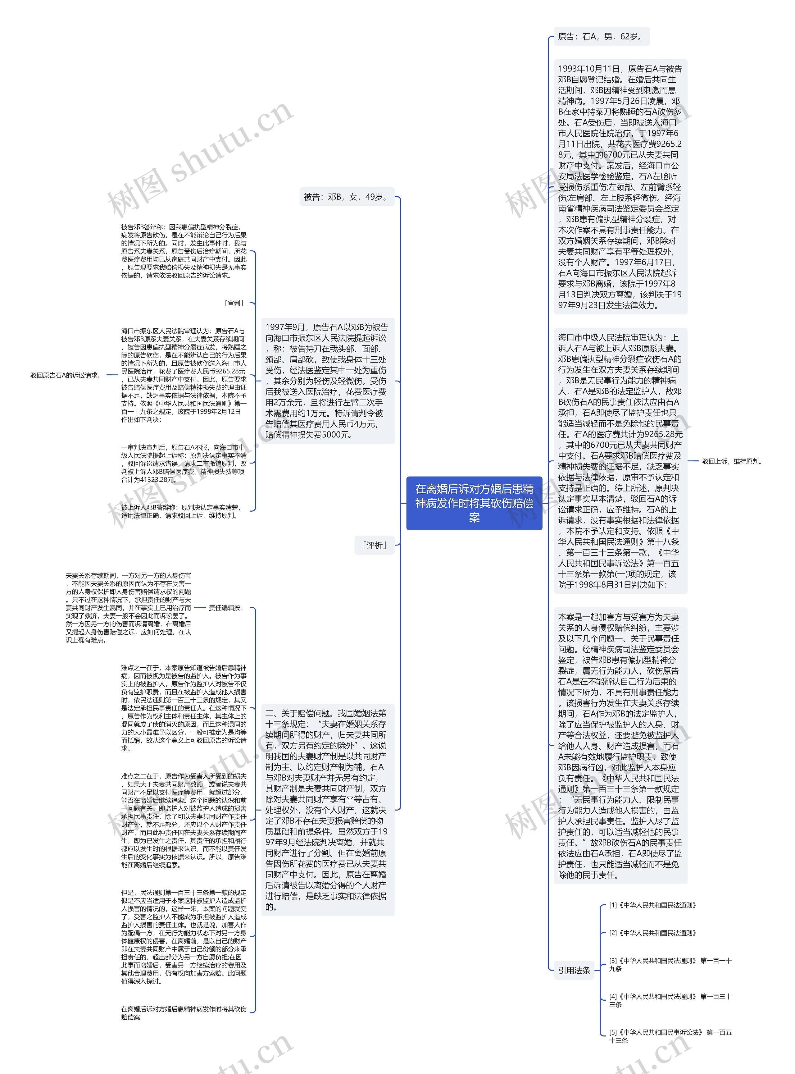 在离婚后诉对方婚后患精神病发作时将其砍伤赔偿案思维导图