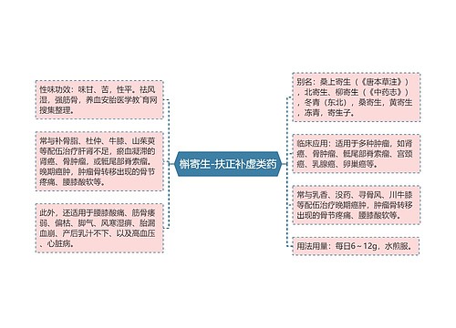 槲寄生-扶正补虚类药