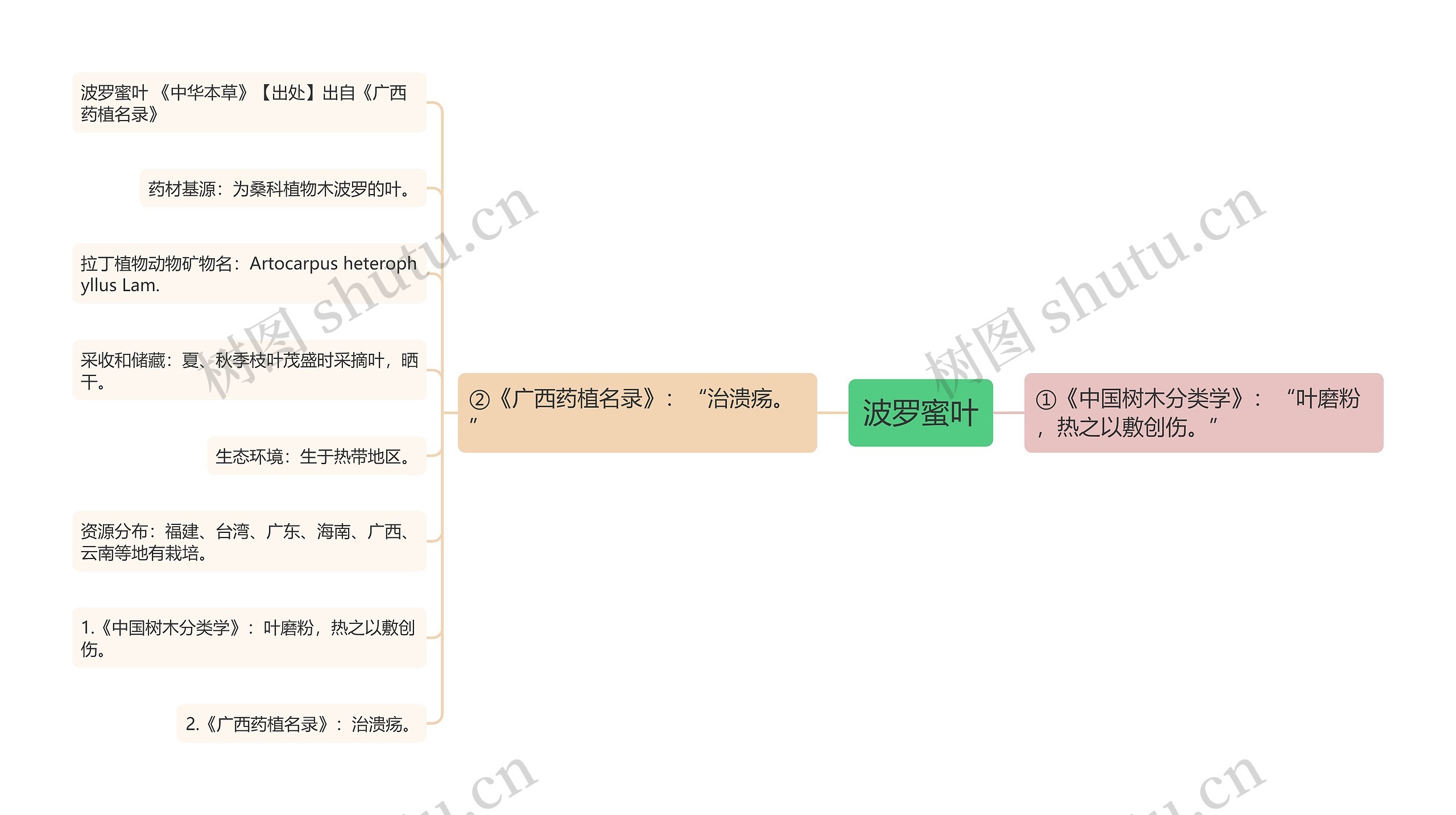 波罗蜜叶思维导图