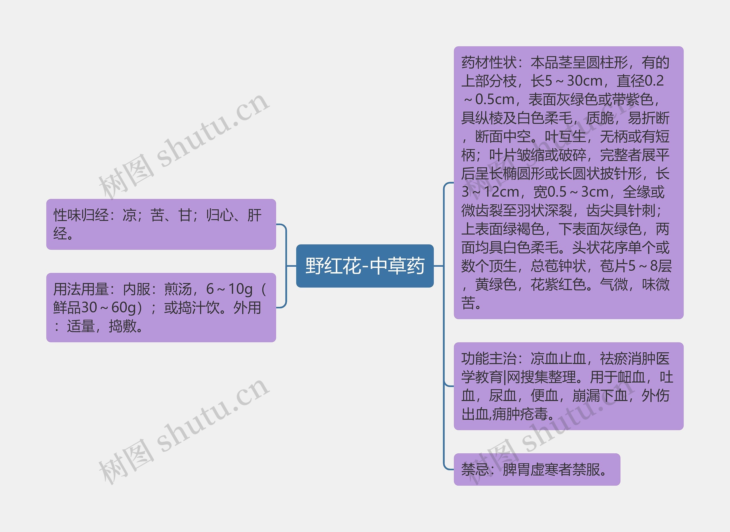 野红花-中草药思维导图