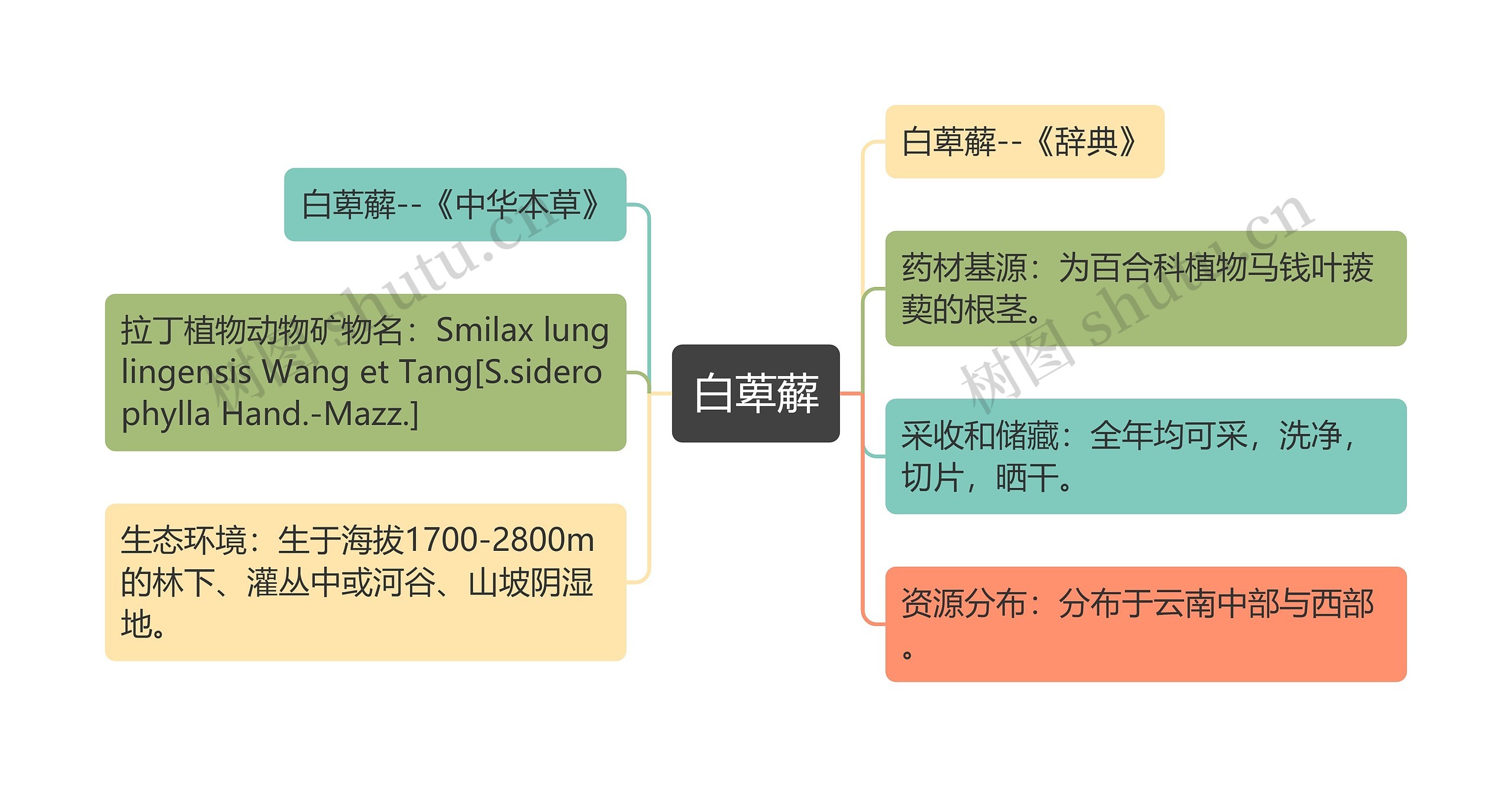 白萆薢思维导图