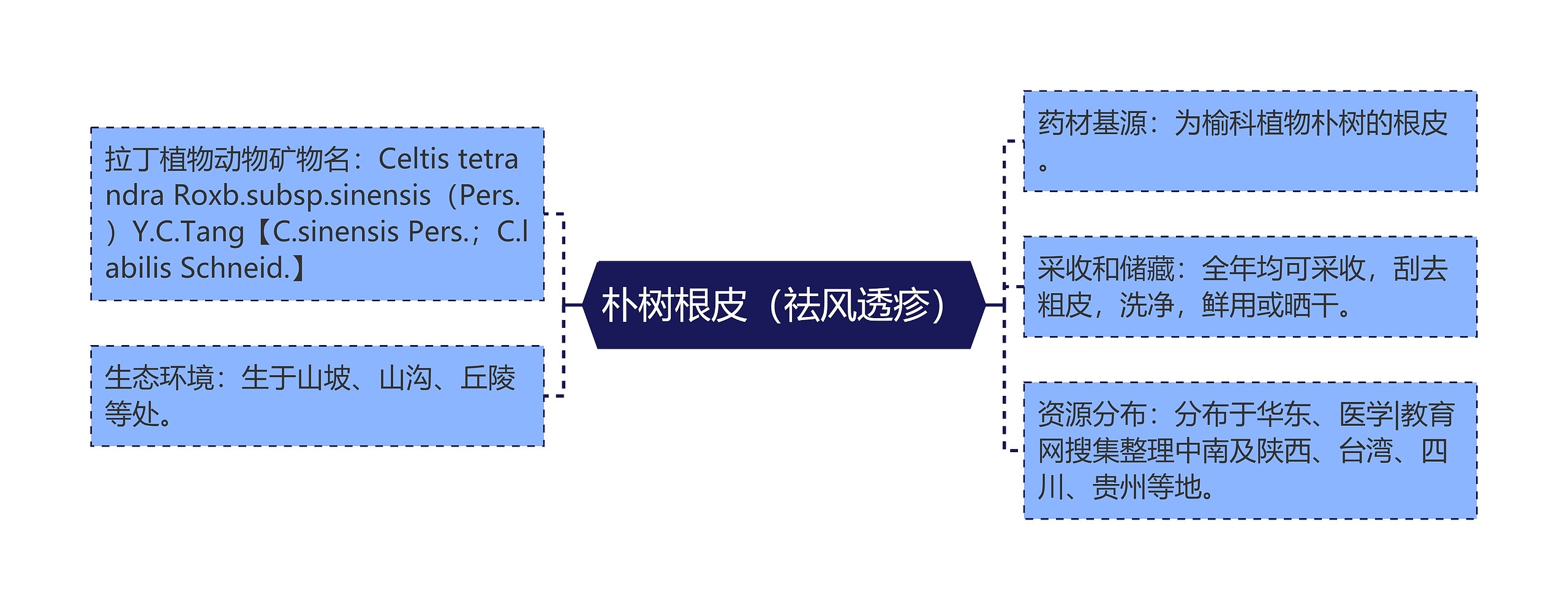 朴树根皮（祛风透疹）思维导图