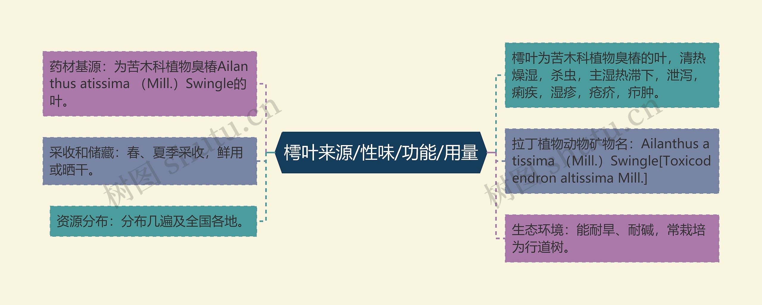 樗叶来源/性味/功能/用量思维导图