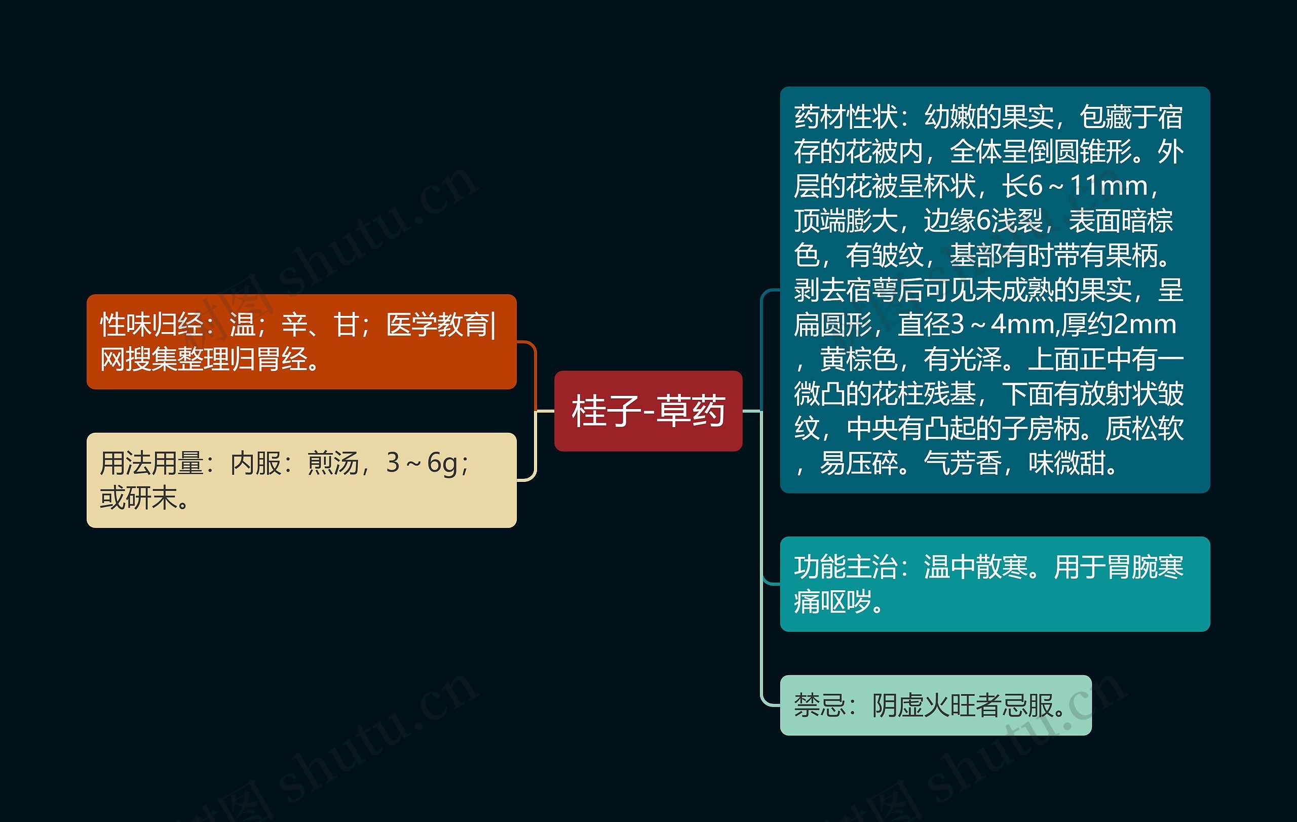 桂子-草药思维导图