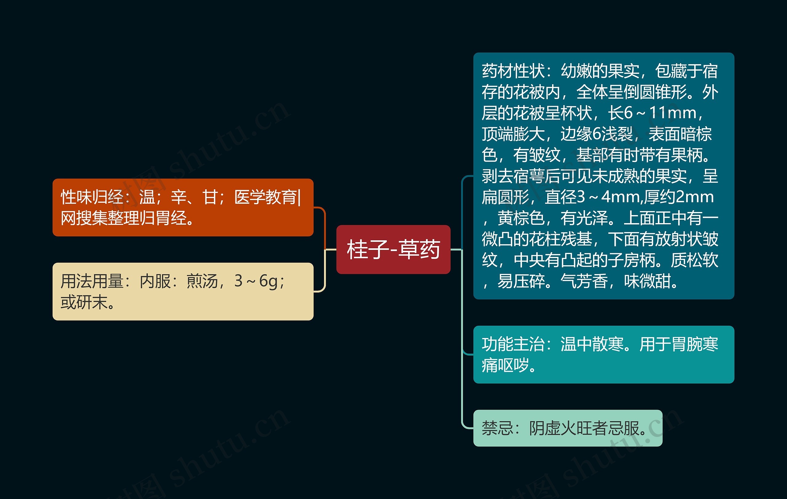 桂子-草药 桂子-草药