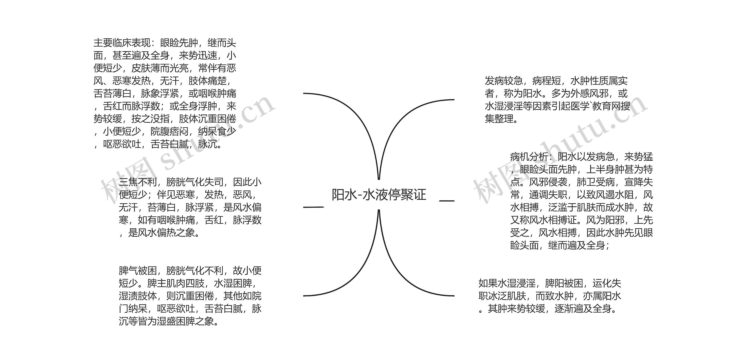 阳水-水液停聚证思维导图