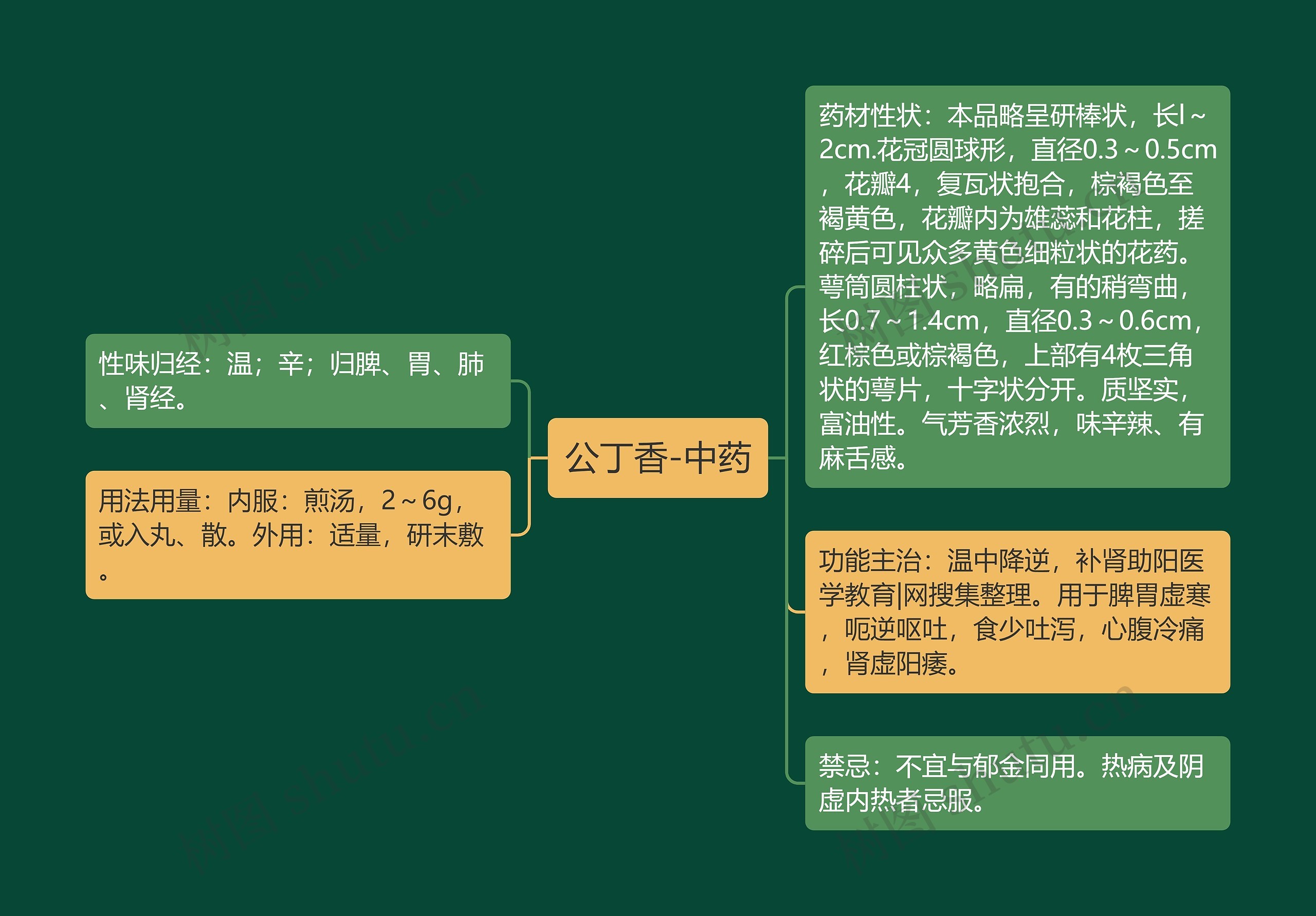 公丁香-中药