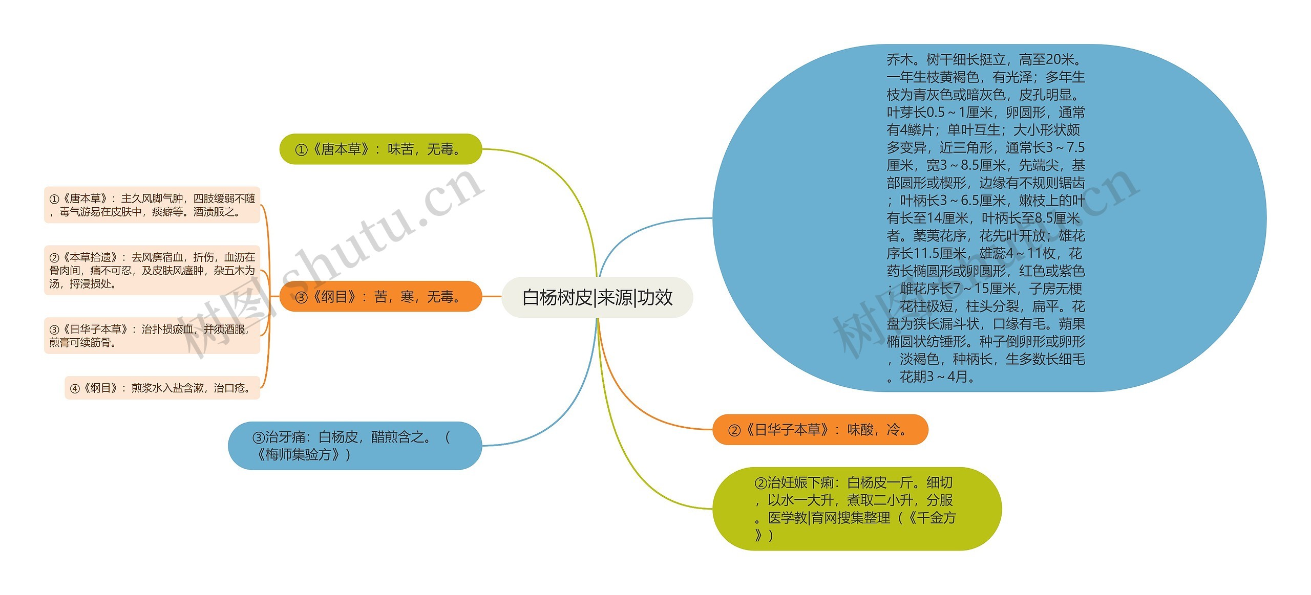 白杨树皮|来源|功效思维导图