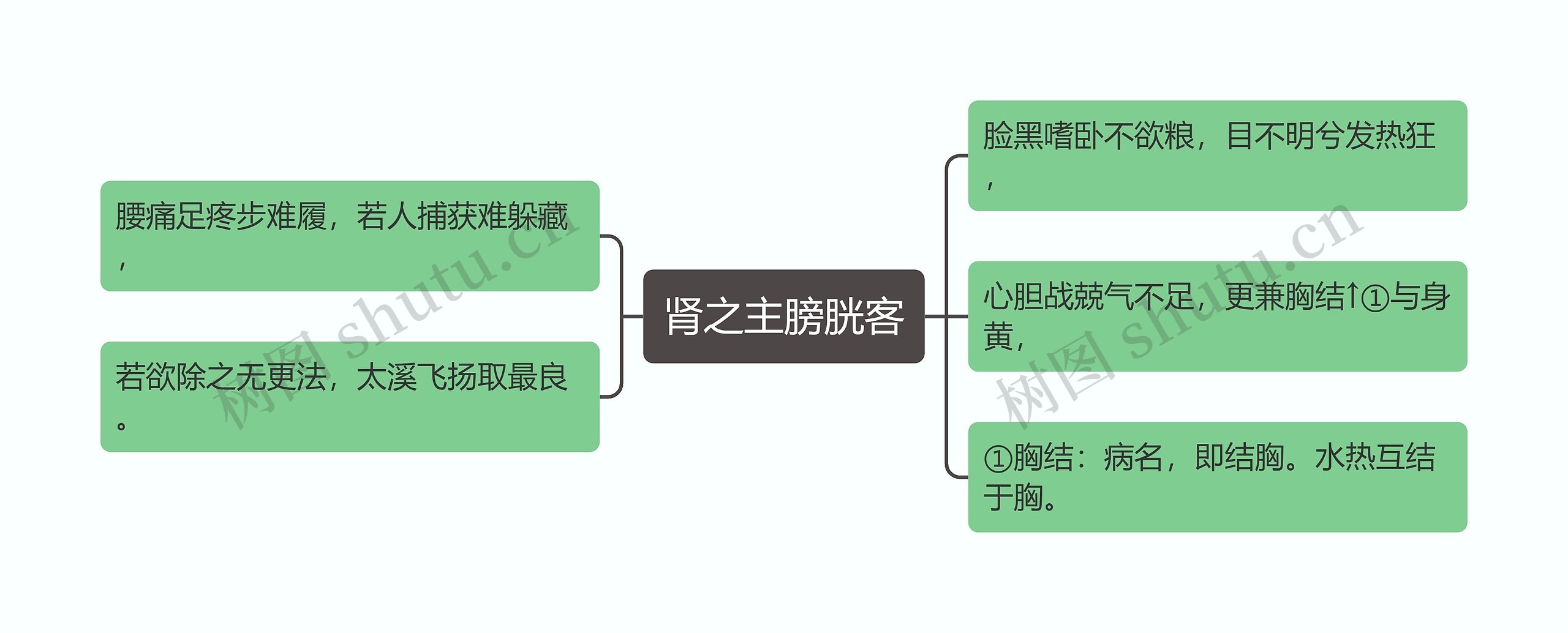 肾之主膀胱客思维导图