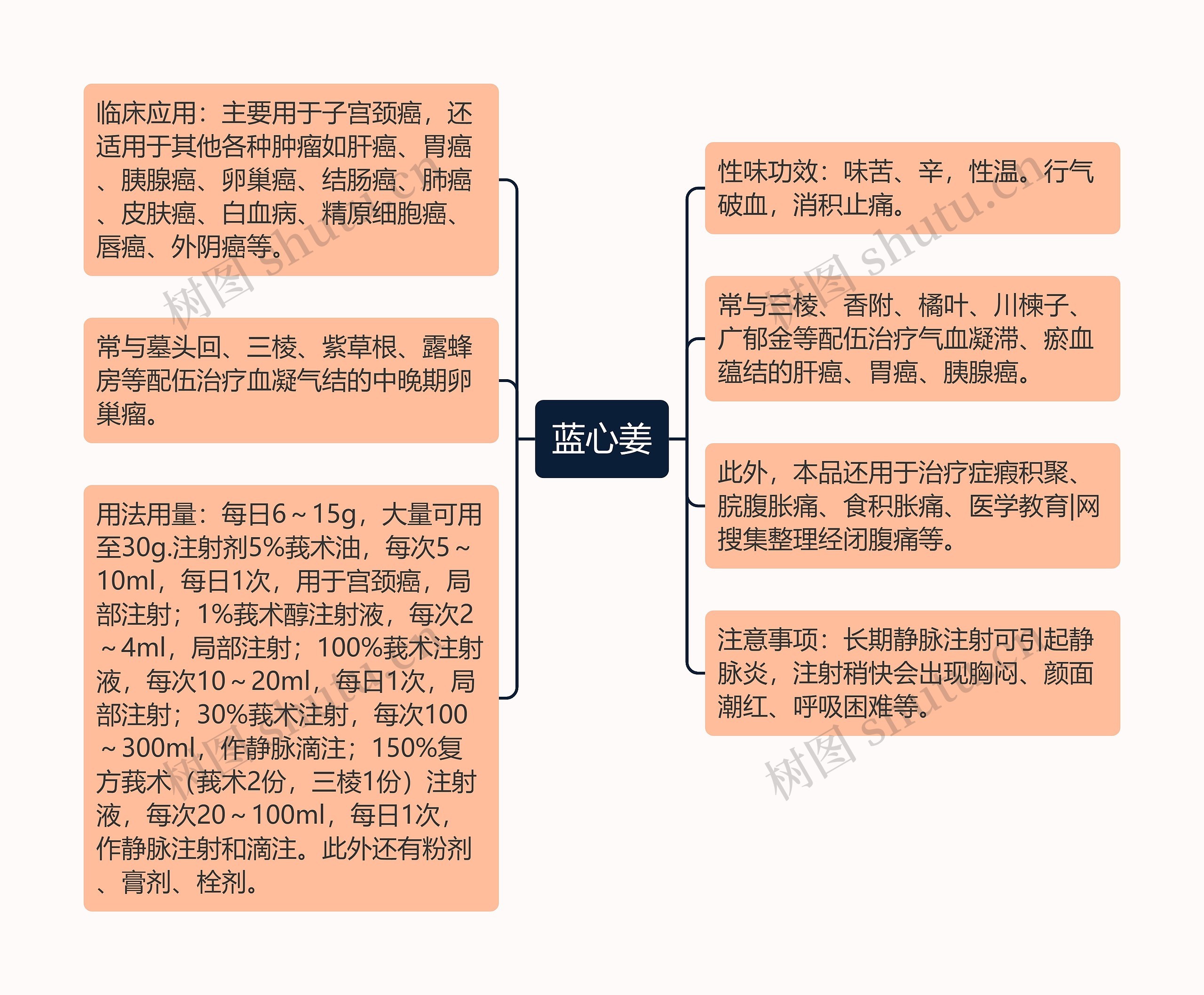 蓝心姜思维导图