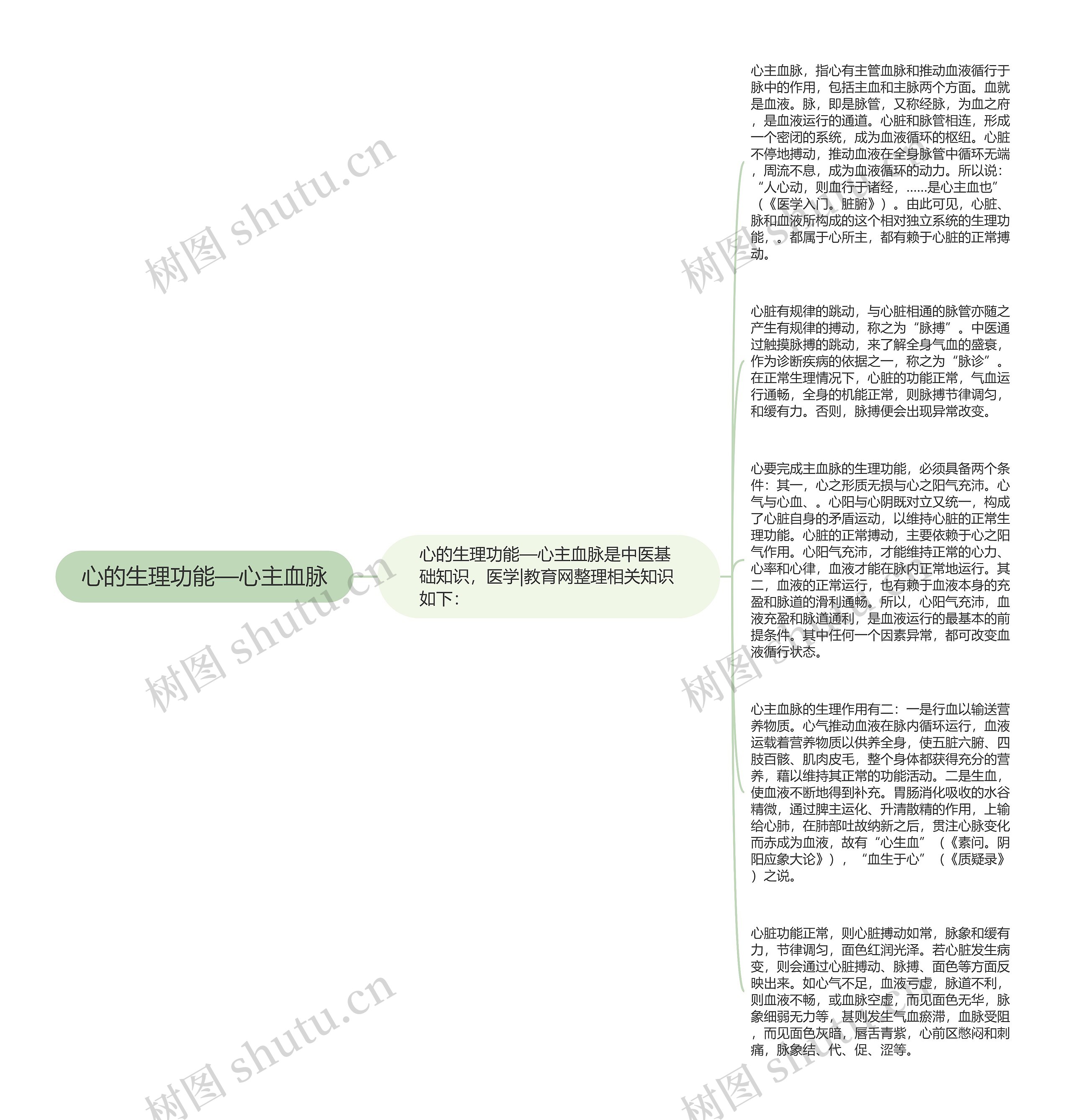 心的生理功能—心主血脉思维导图