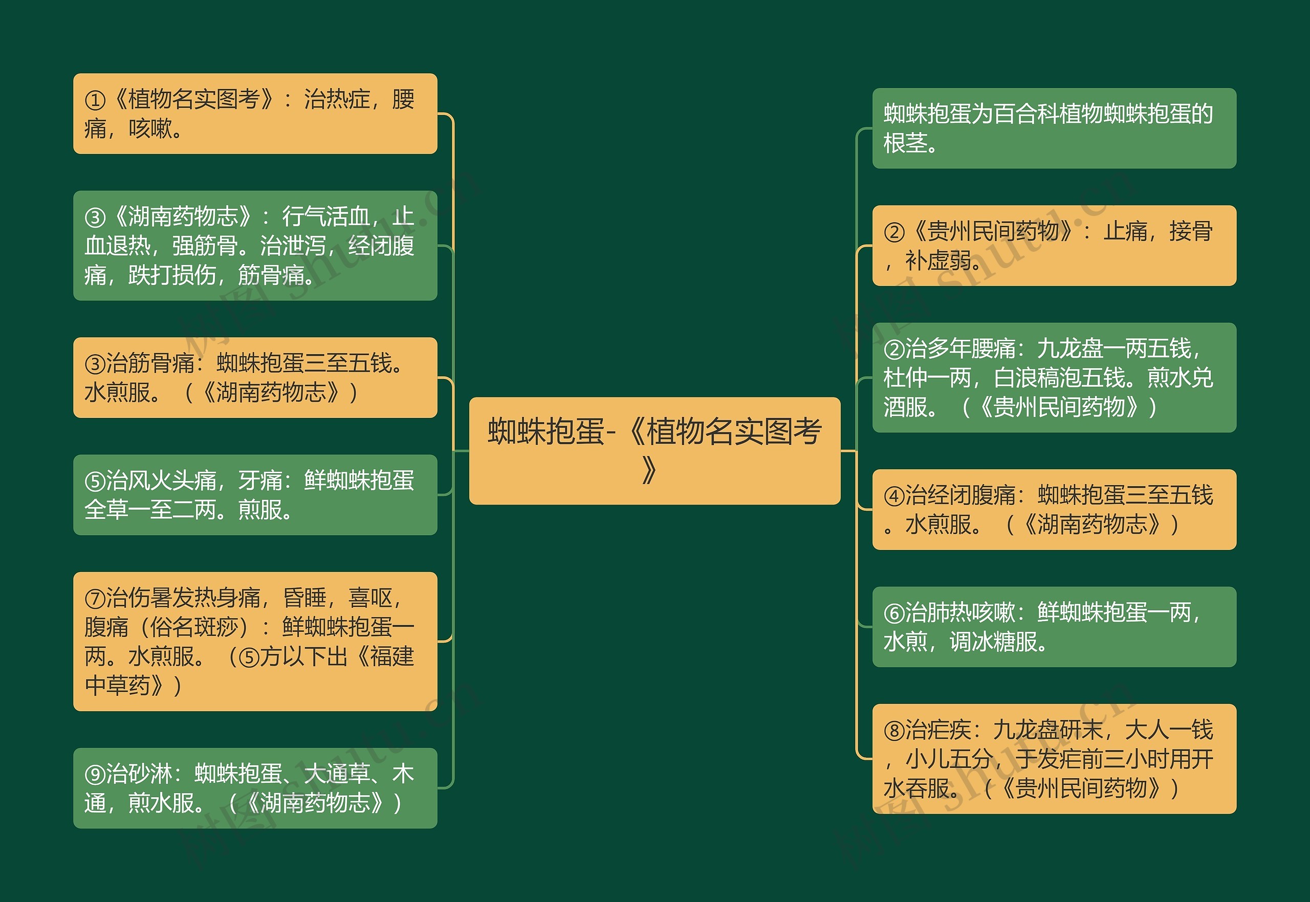 蜘蛛抱蛋-《植物名实图考》