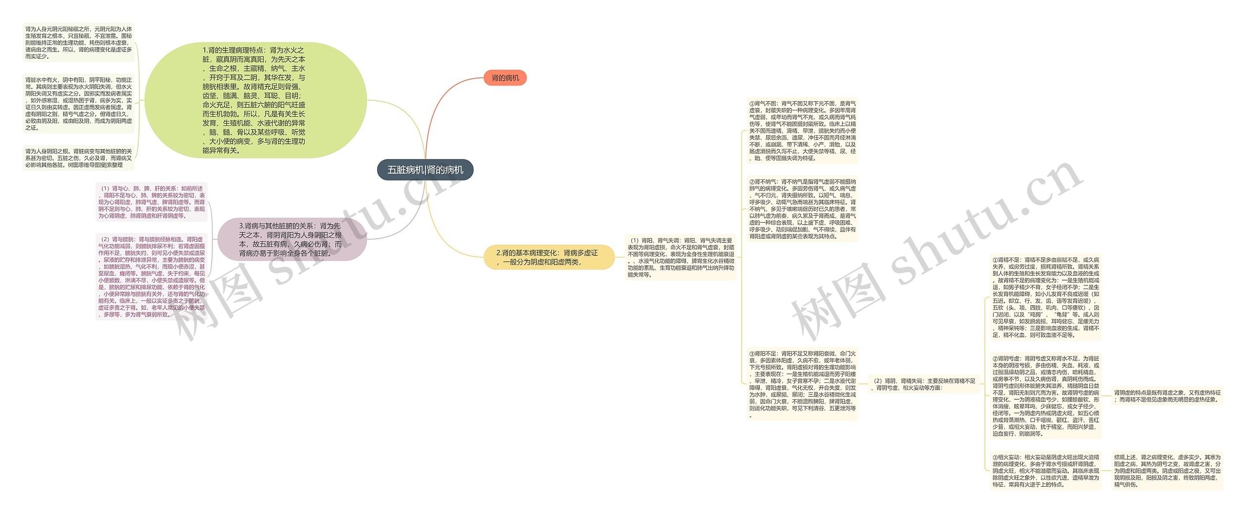 五脏病机|肾的病机思维导图