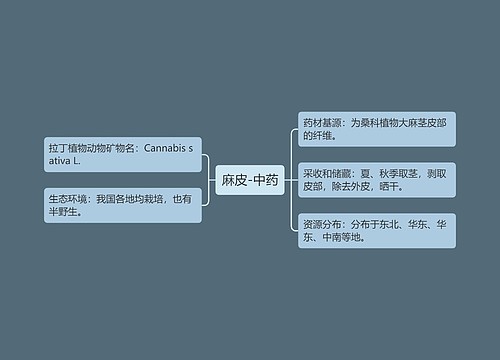 麻皮-中药