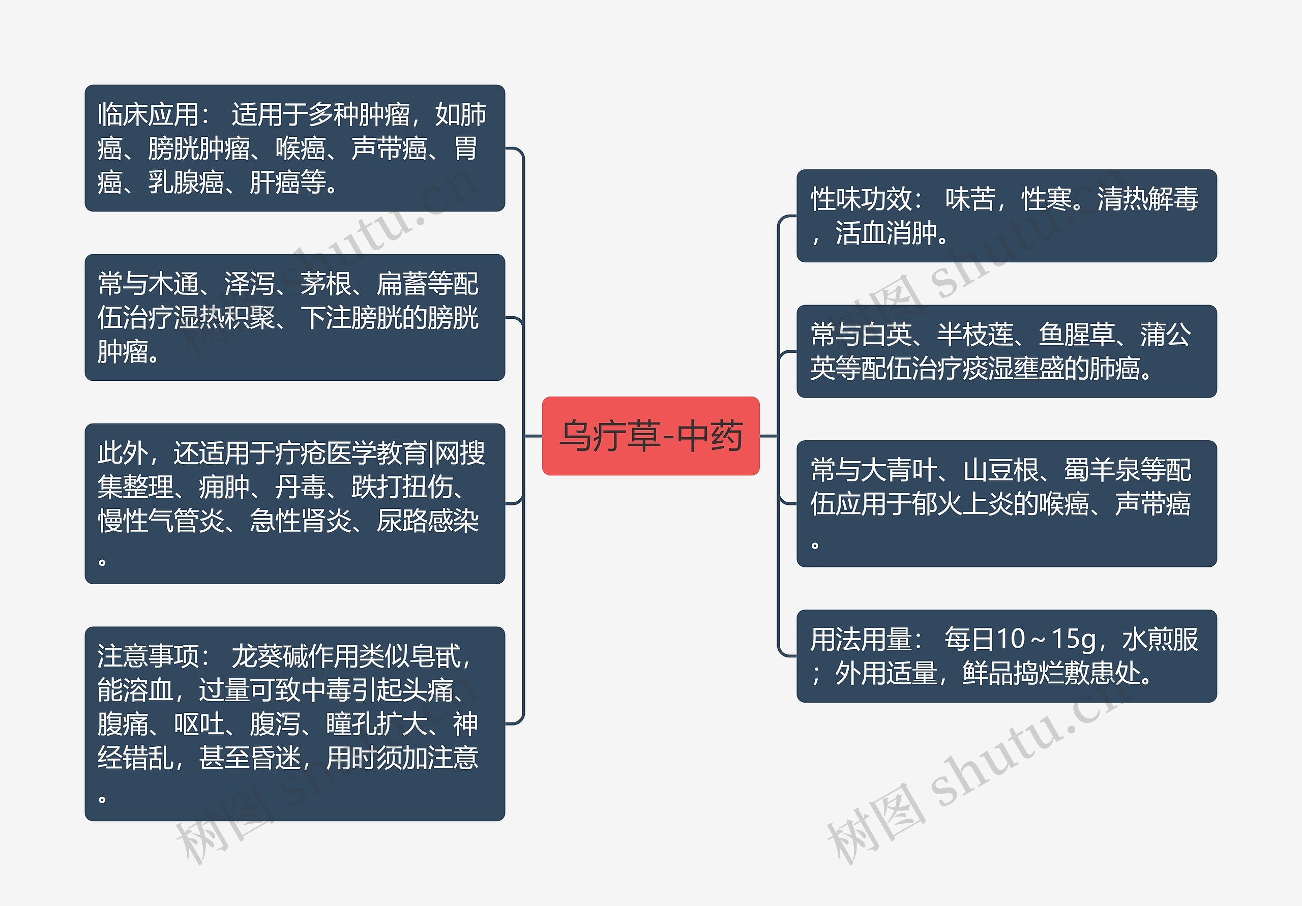 乌疔草-中药思维导图