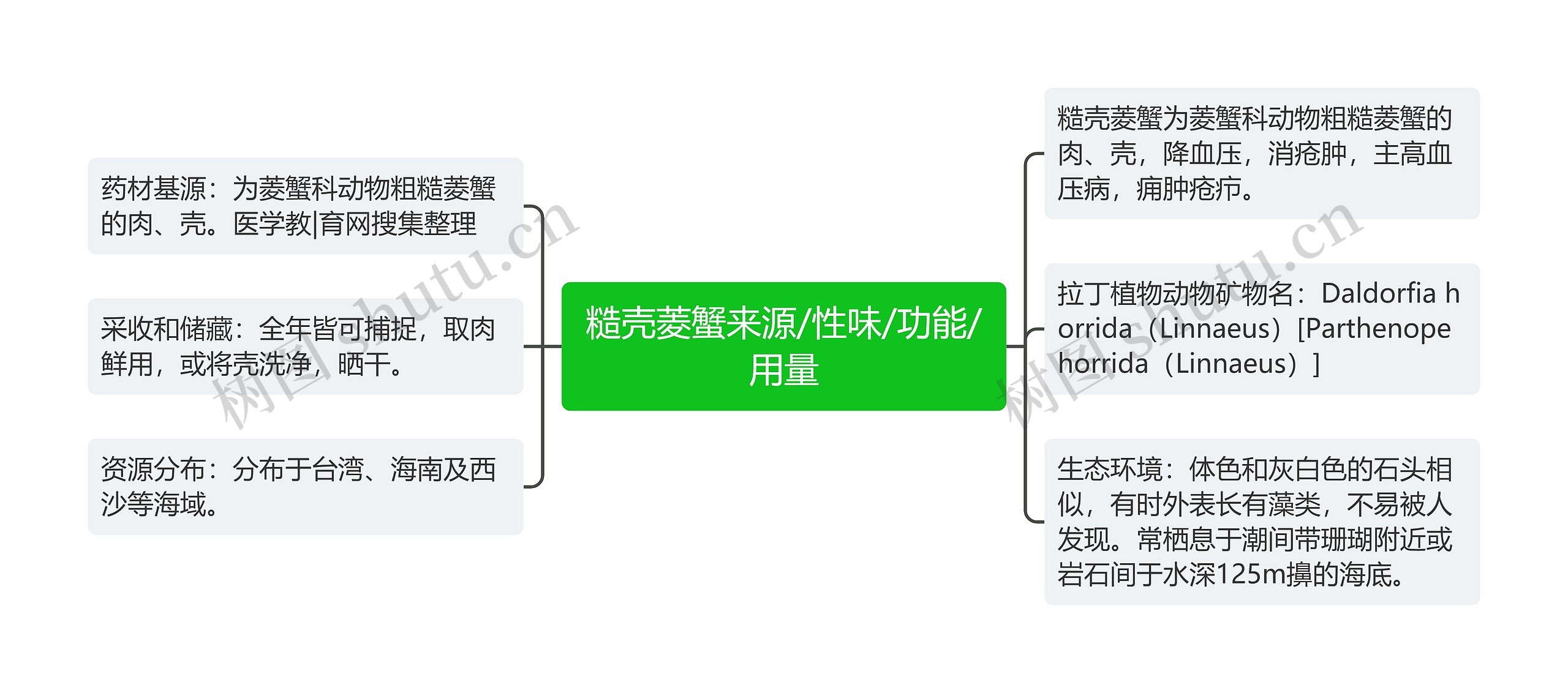 糙壳菱蟹来源/性味/功能/用量