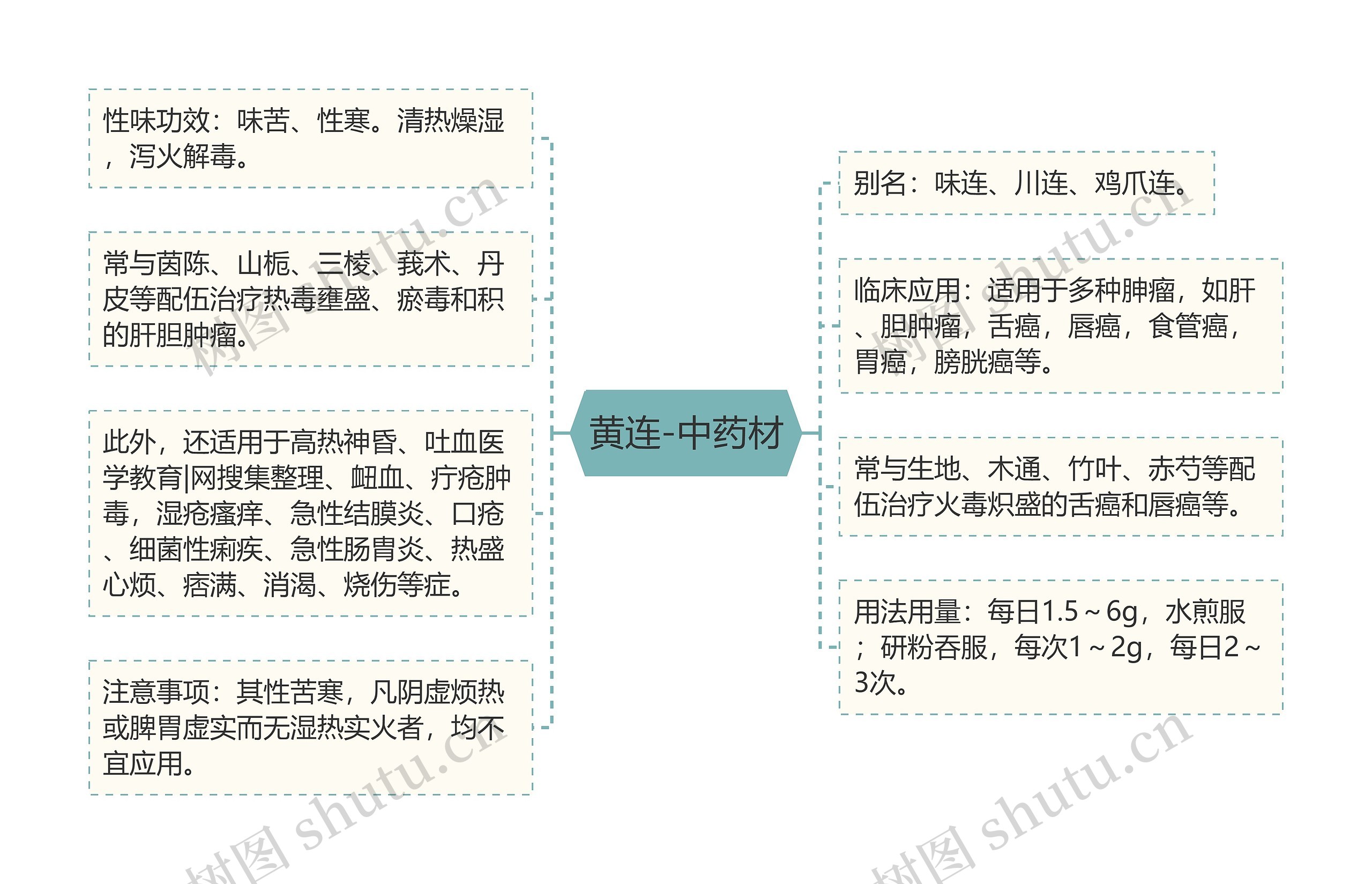 黄连-中药材思维导图