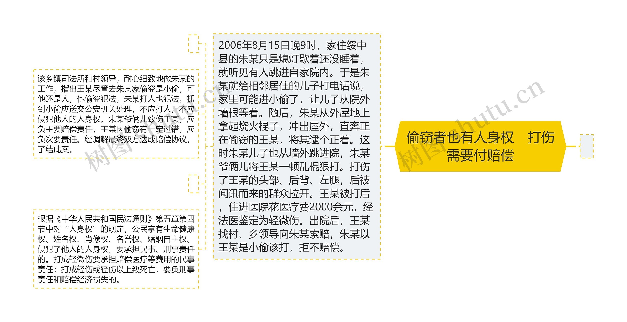 偷窃者也有人身权　打伤需要付赔偿